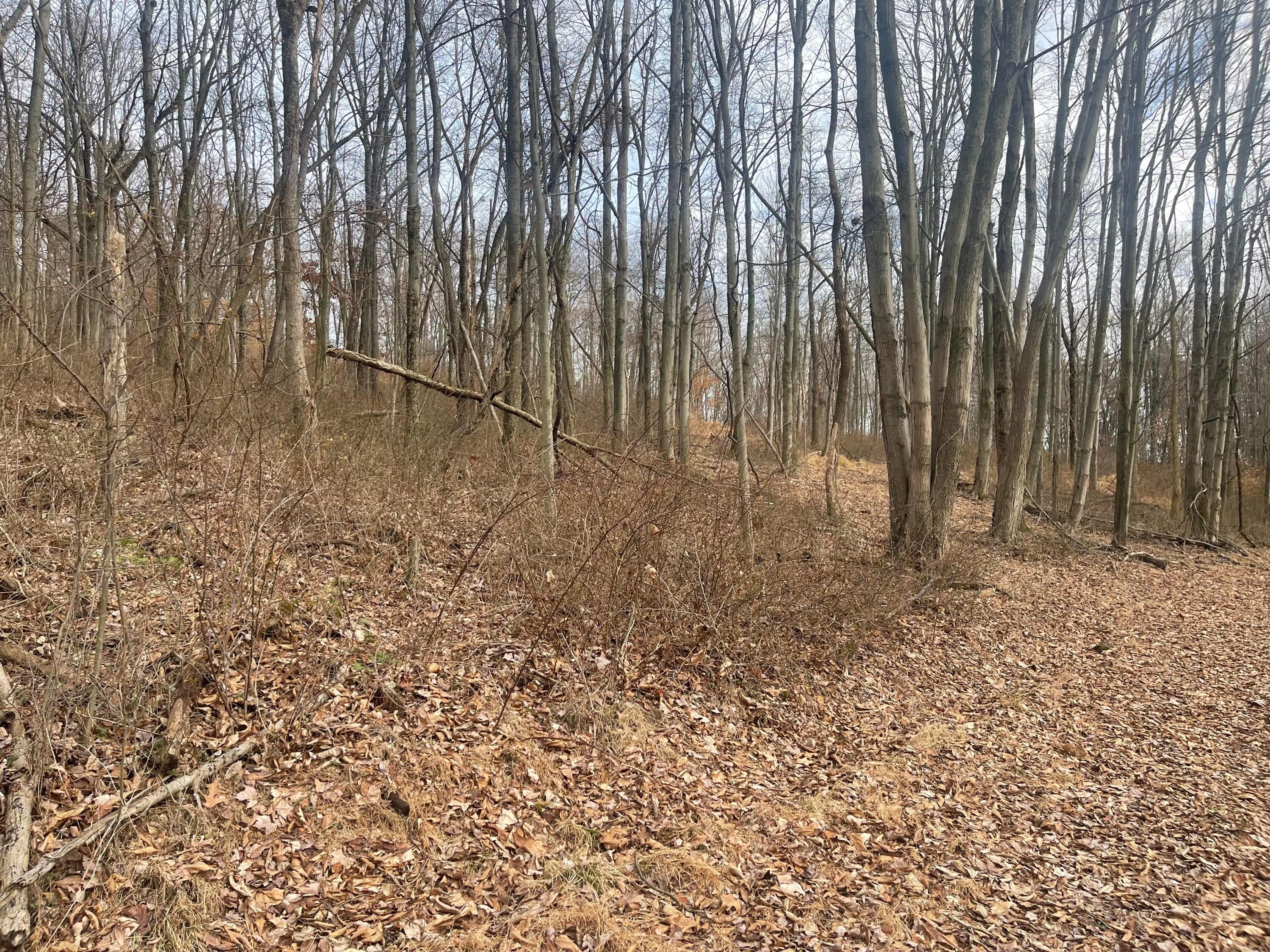 0 Blue Jay Road Property Photo 5