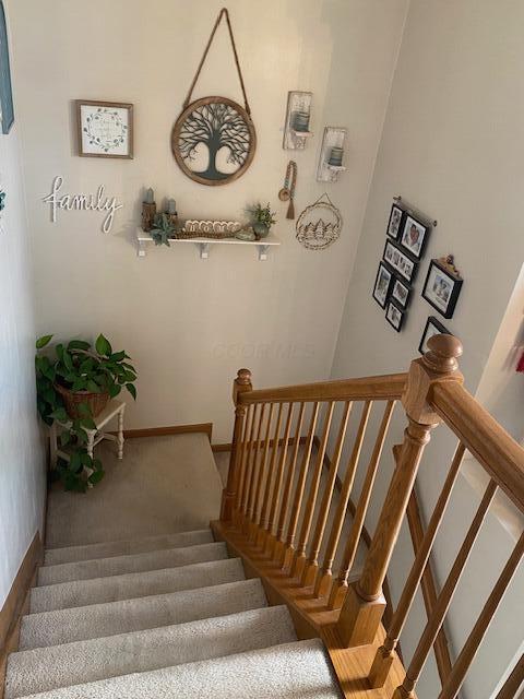 36 W Fieldstone Property Photo 9