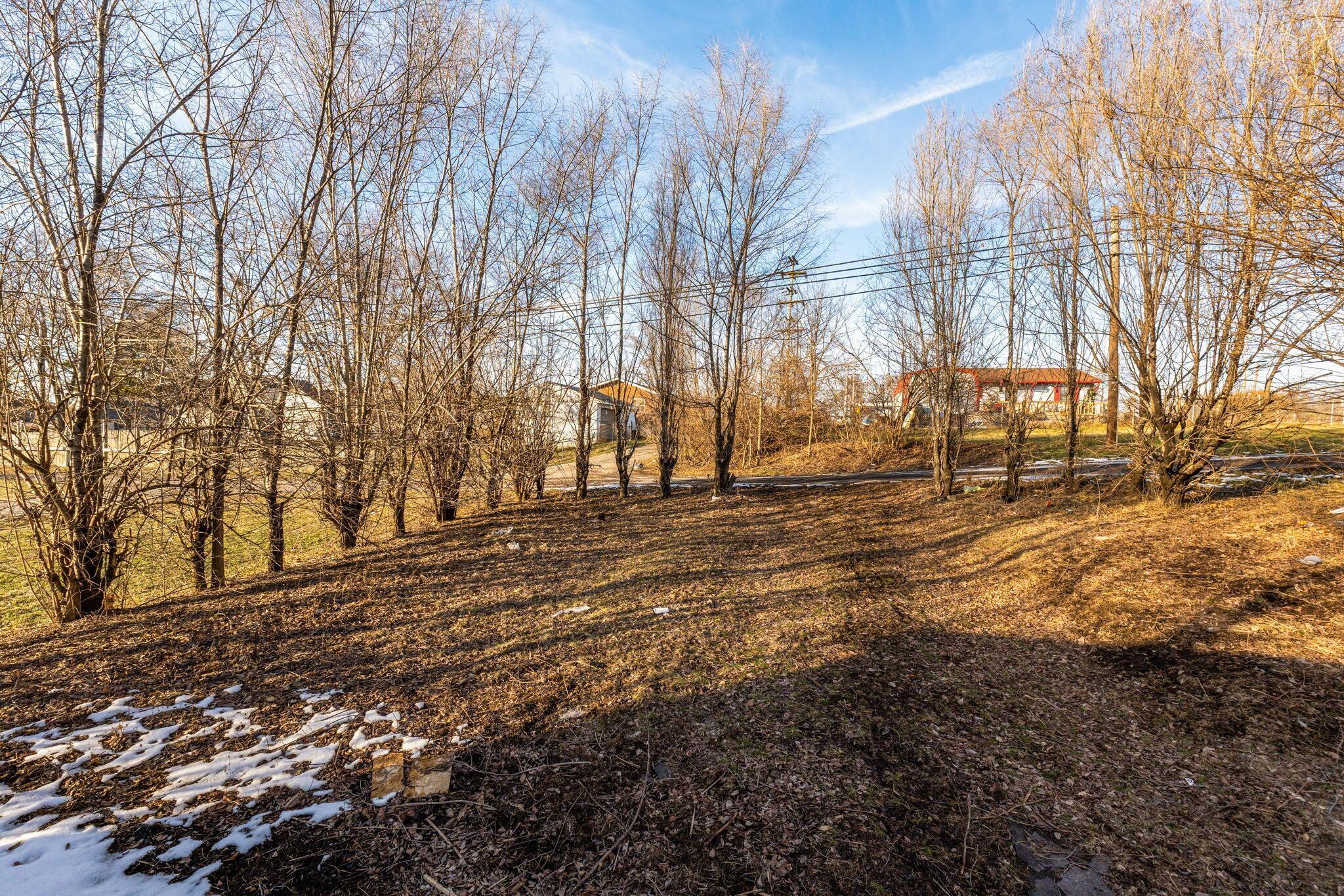 510 Glendower Avenue Property Photo 31