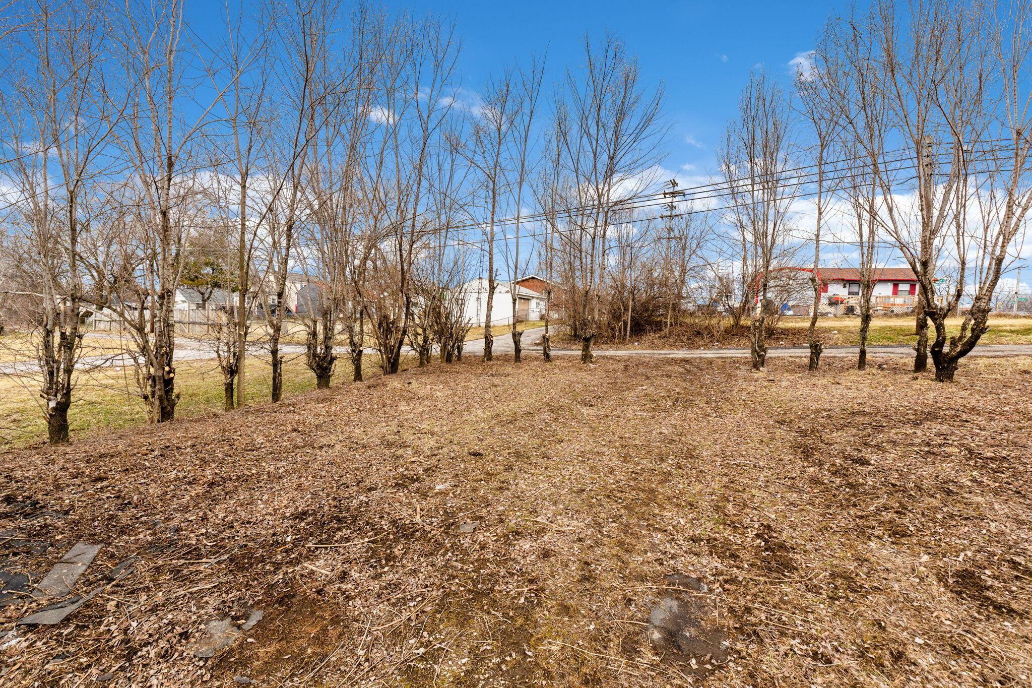 510 Glendower Avenue Property Photo 37