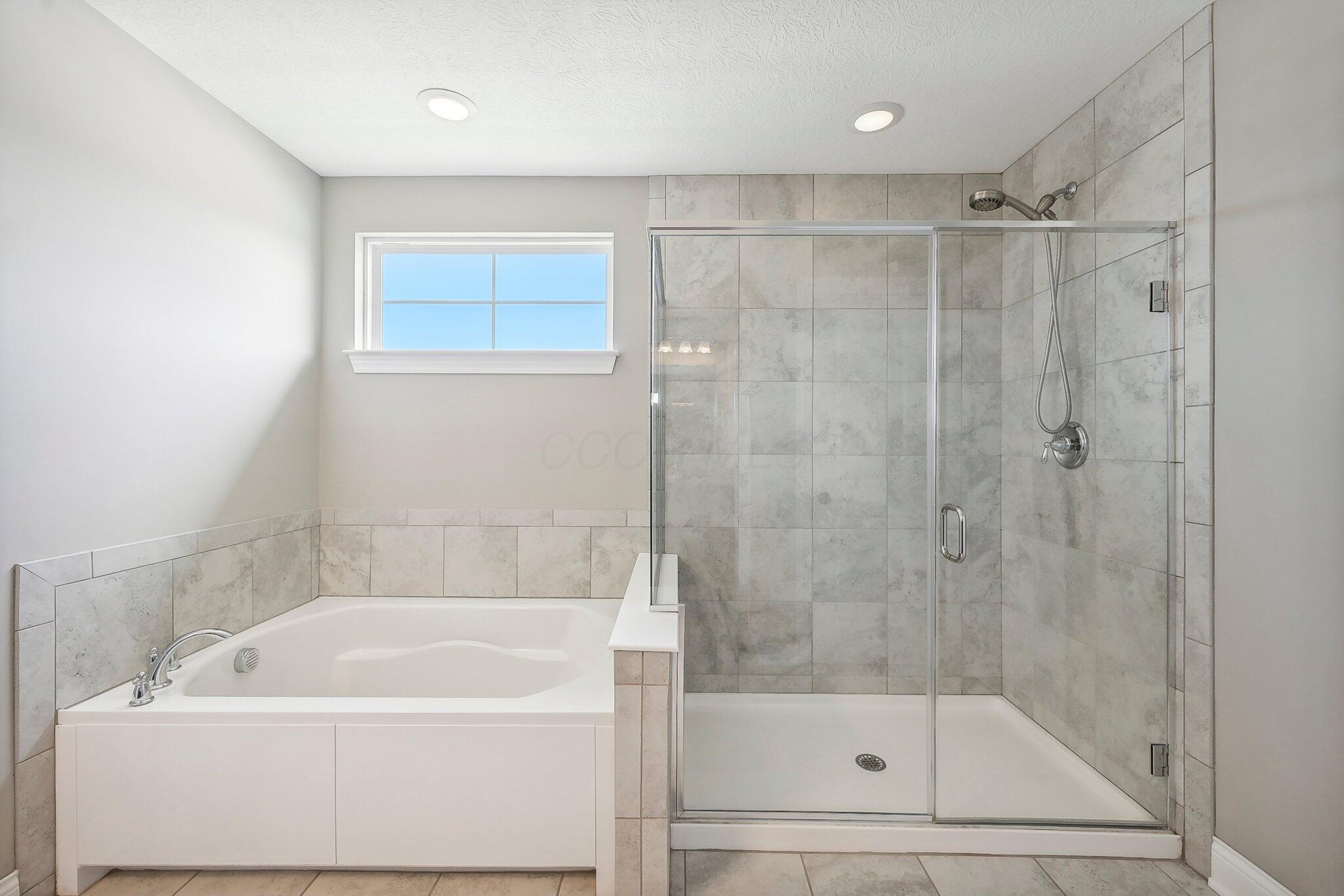 10339 Ivy Chase Property Photo 22
