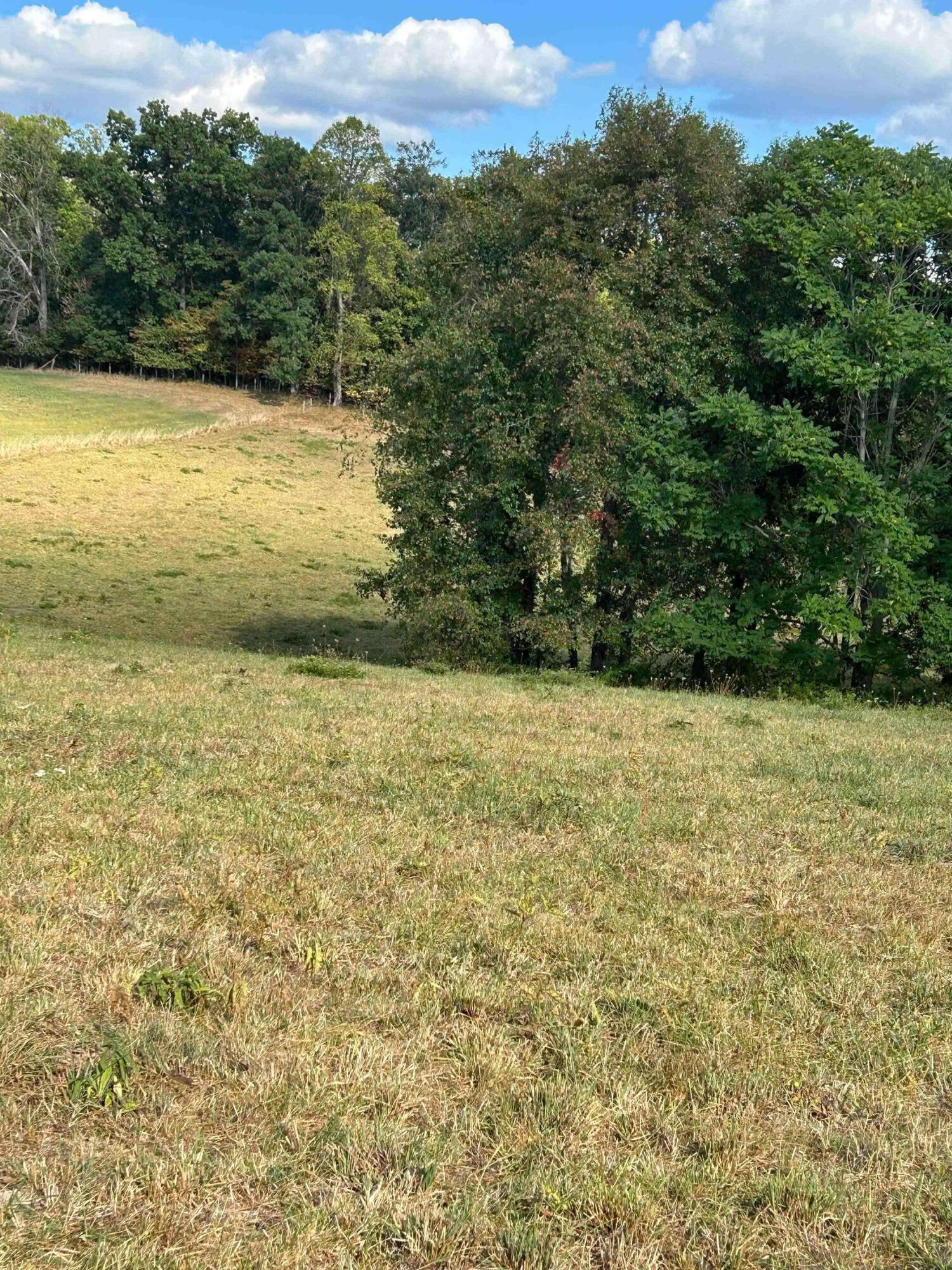 0 Co Rd 3 Property Photo 6