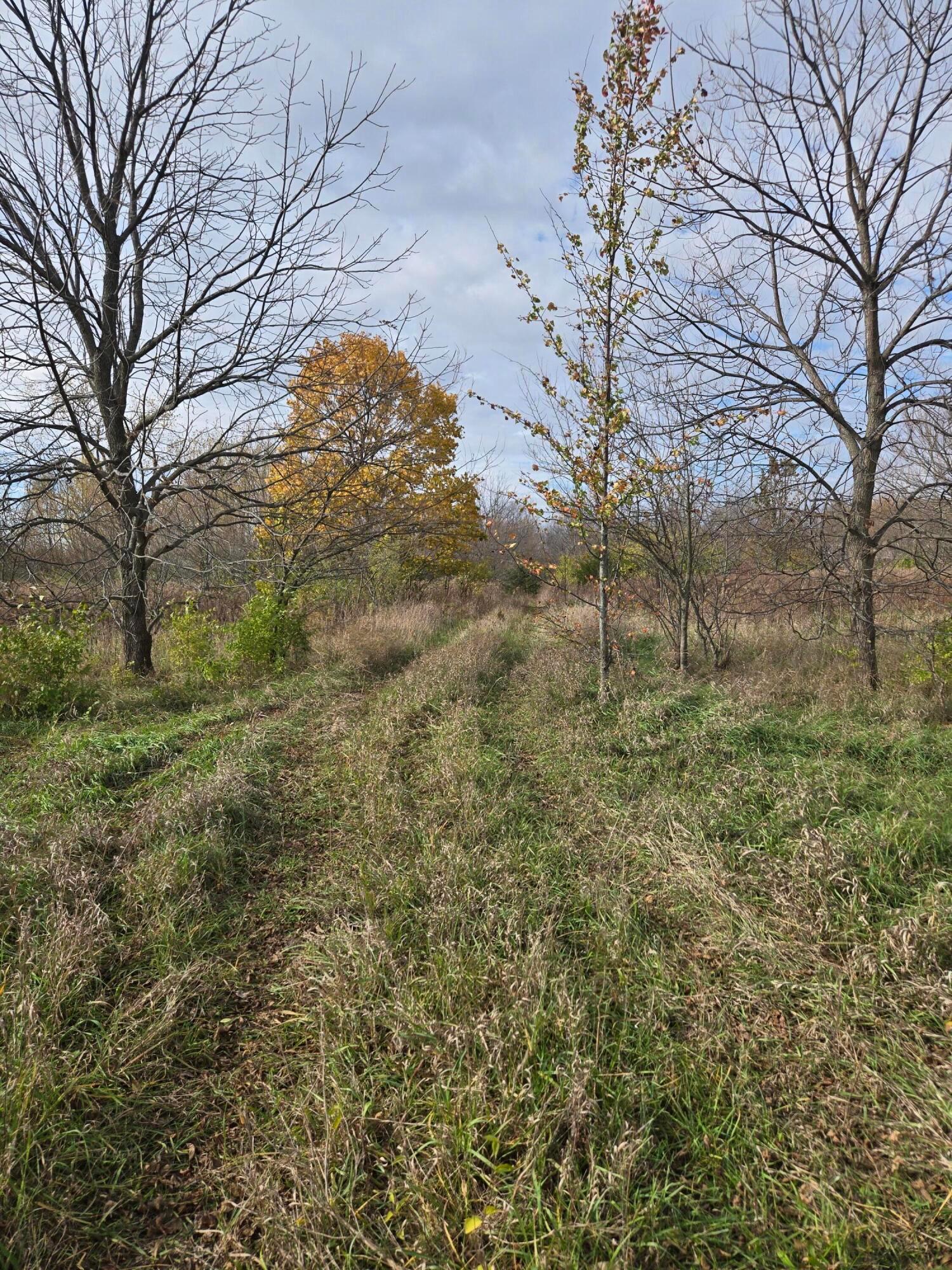 10681 Prairie Road Property Photo 3