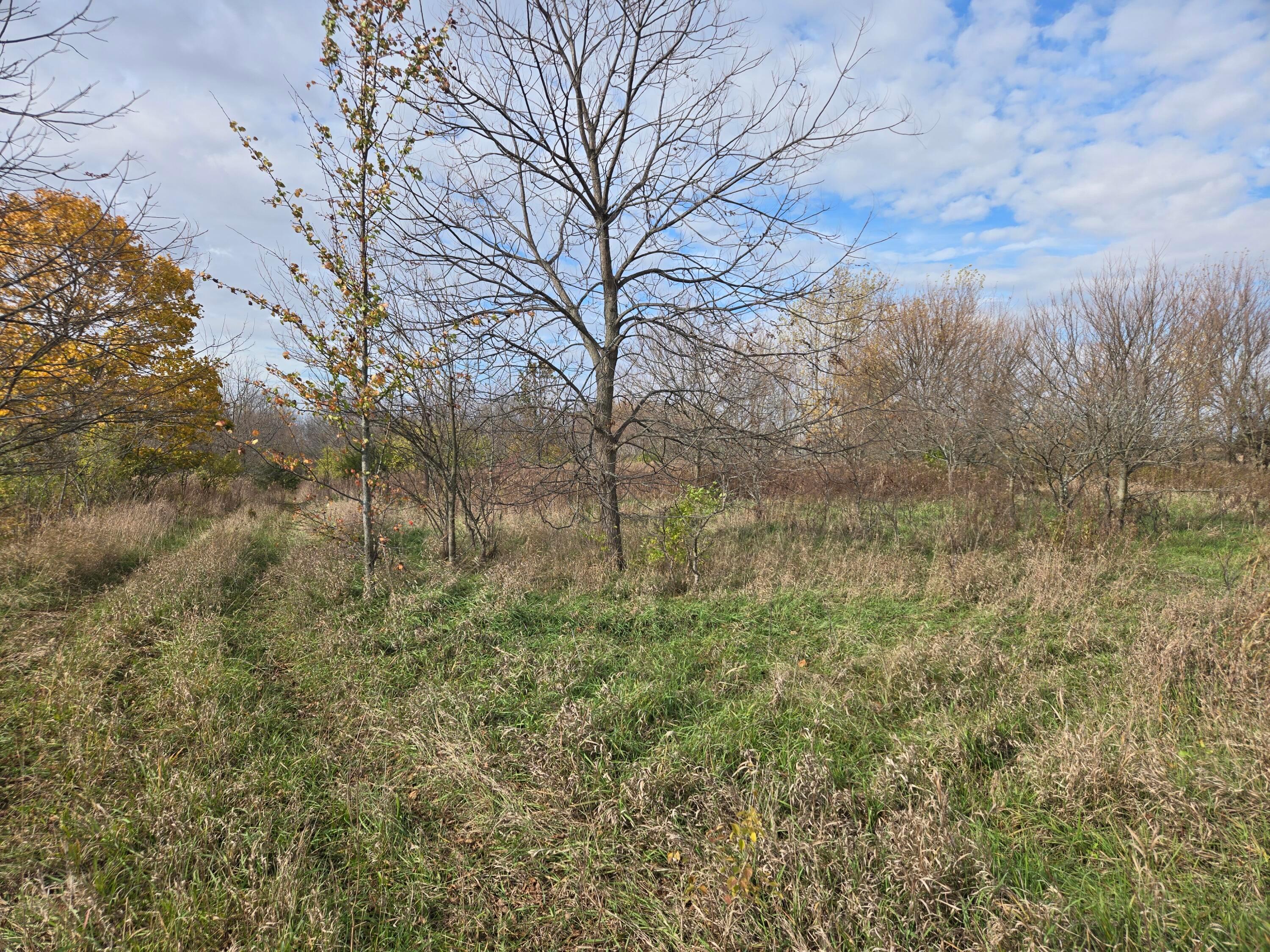 10681 Prairie Road Property Photo 5