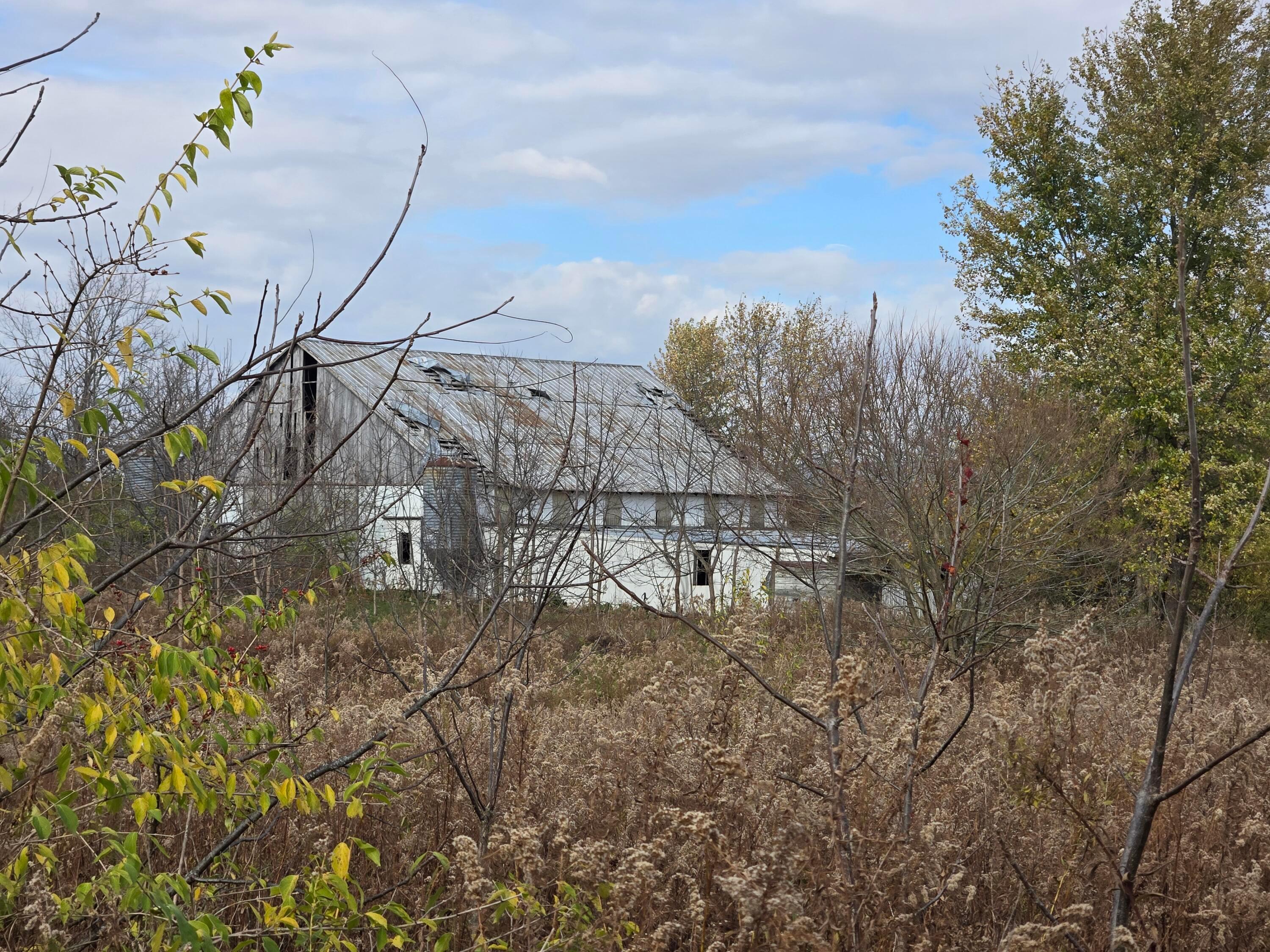 10681 Prairie Road Property Photo 6