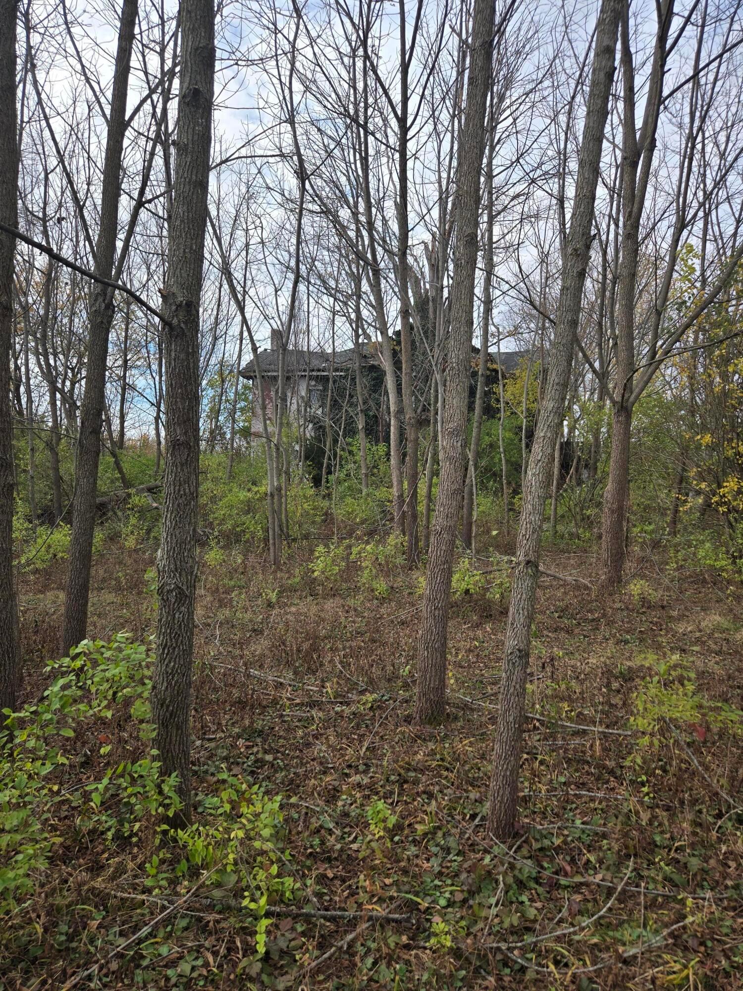 10681 Prairie Road Property Photo 7