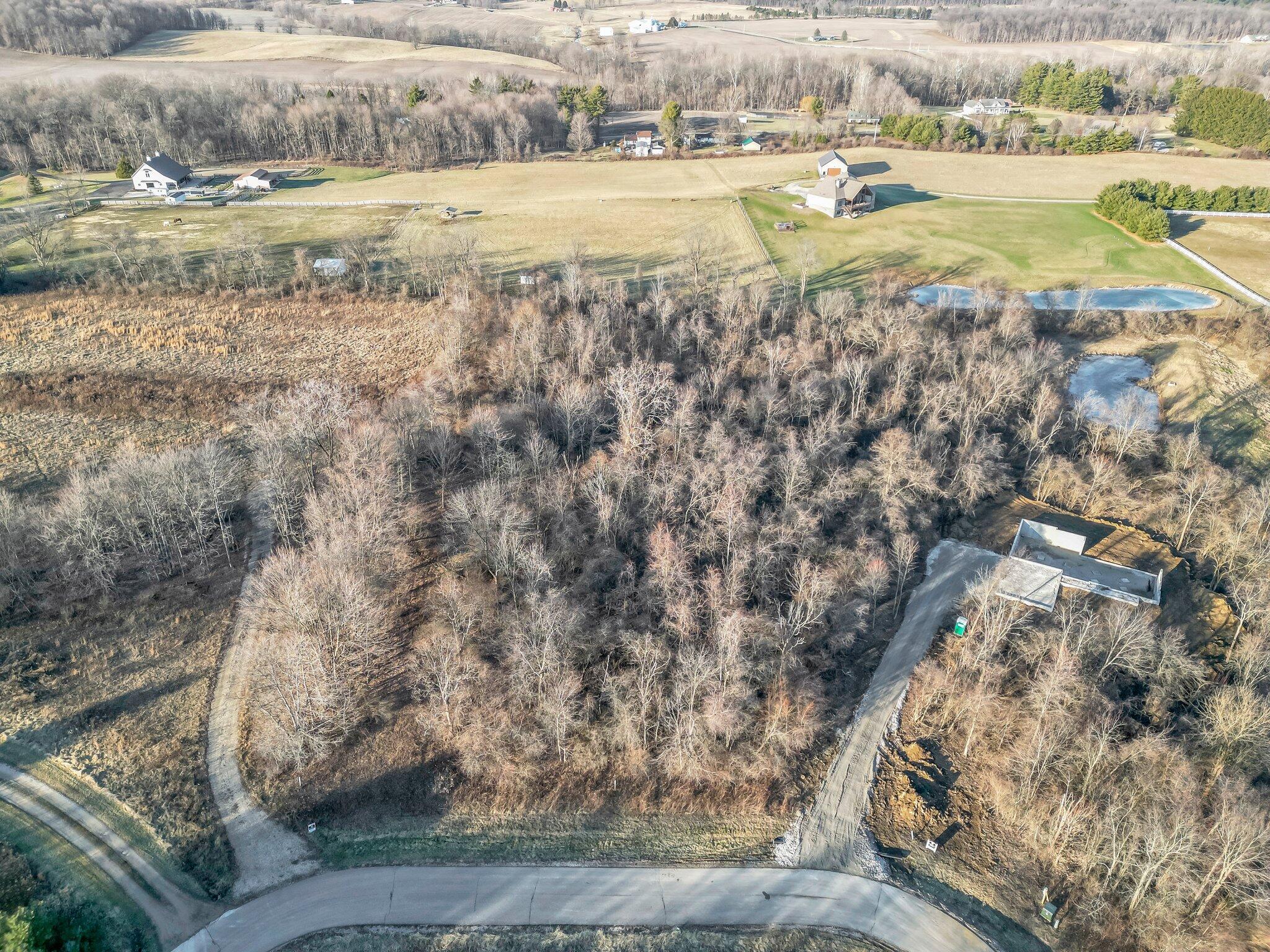 0 Mockingbird W, Lot 7 Property Photo 3