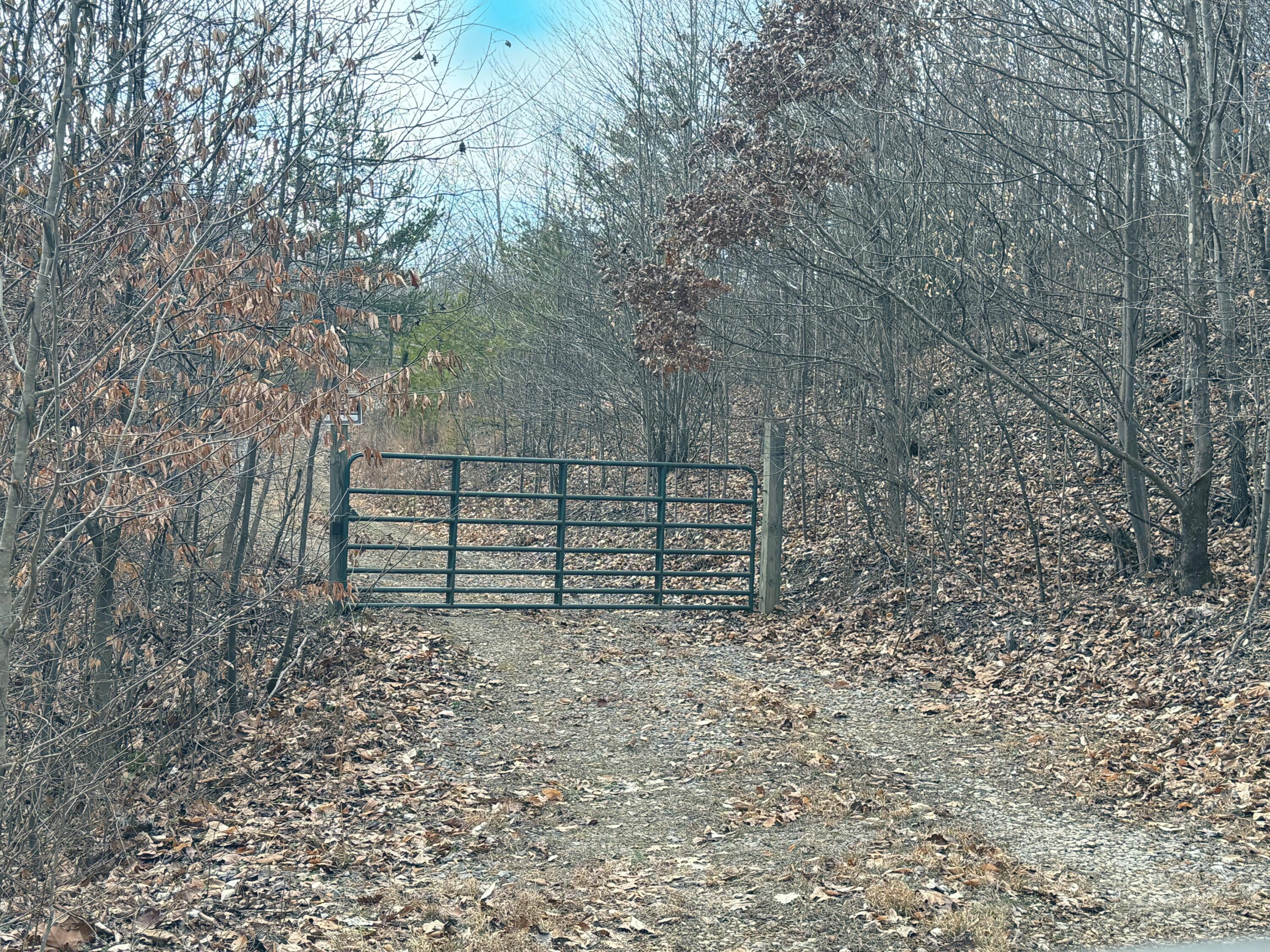 0 Pole Cat Road Ne Property Photo 11