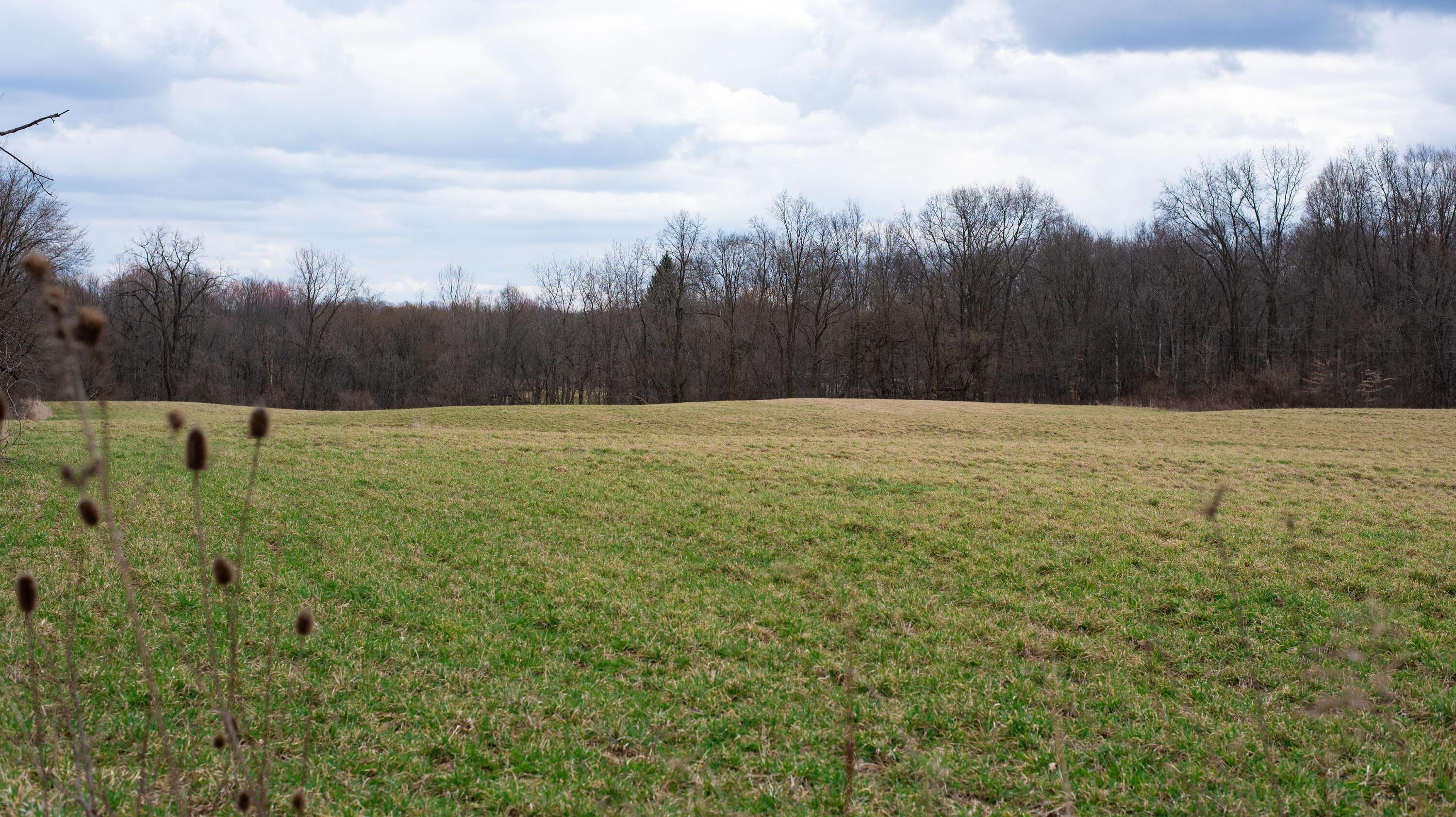 0 Twp Rd 192 (tract A) Property Photo 6