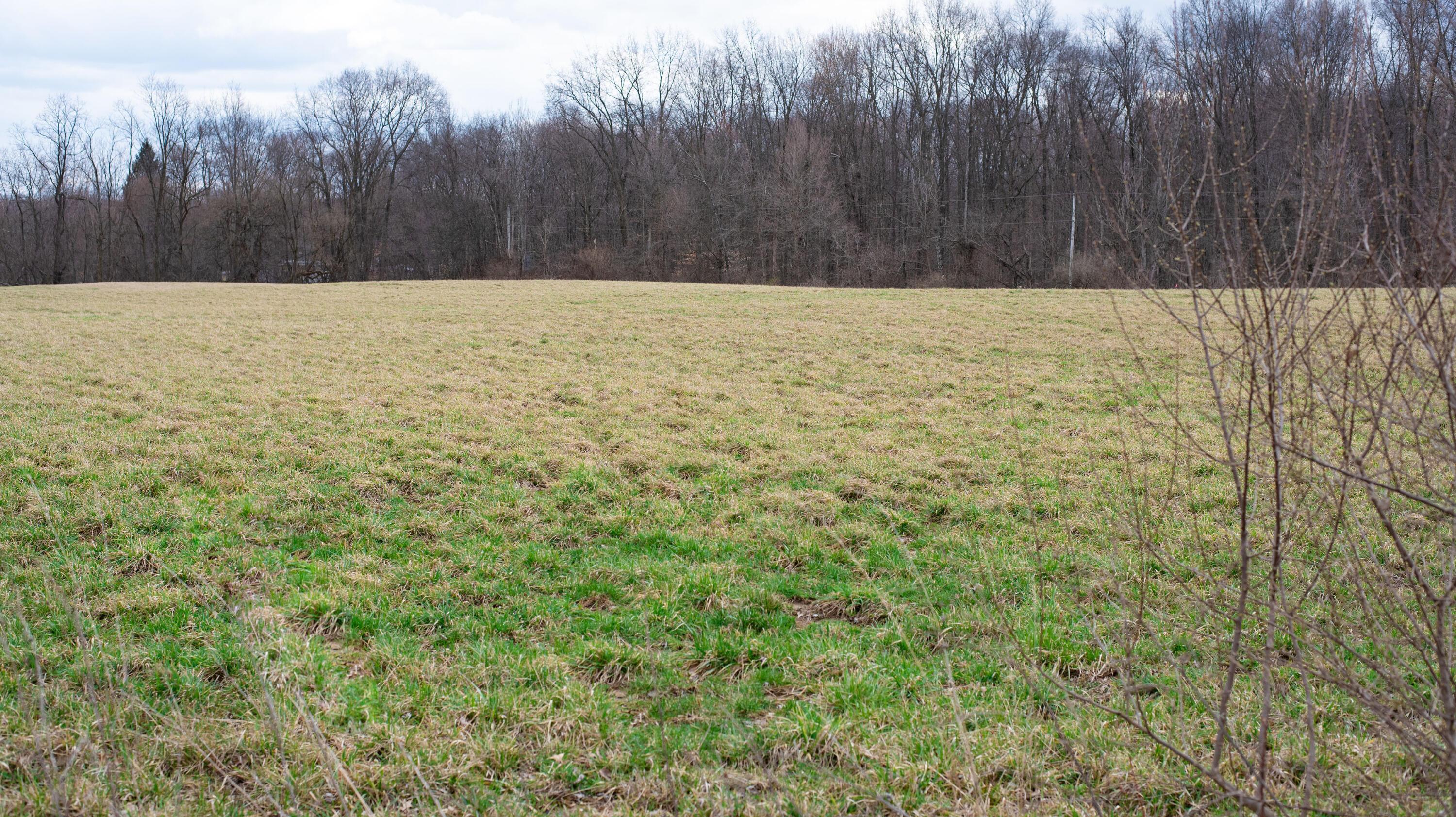 0 Twp Rd 192 (tract A) Property Photo 7