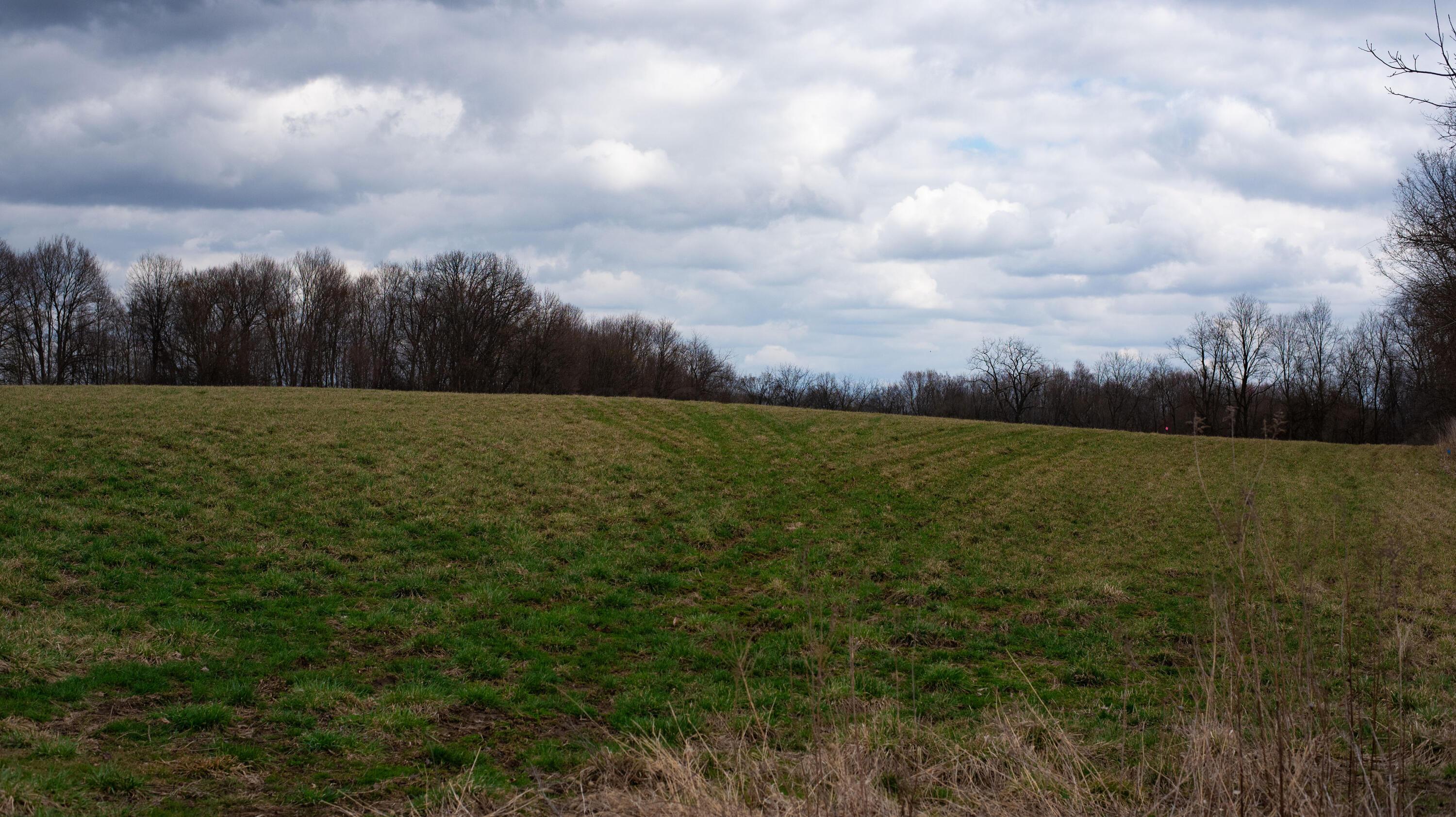 0 Twp Rd 192 (tract A) Property Photo 9