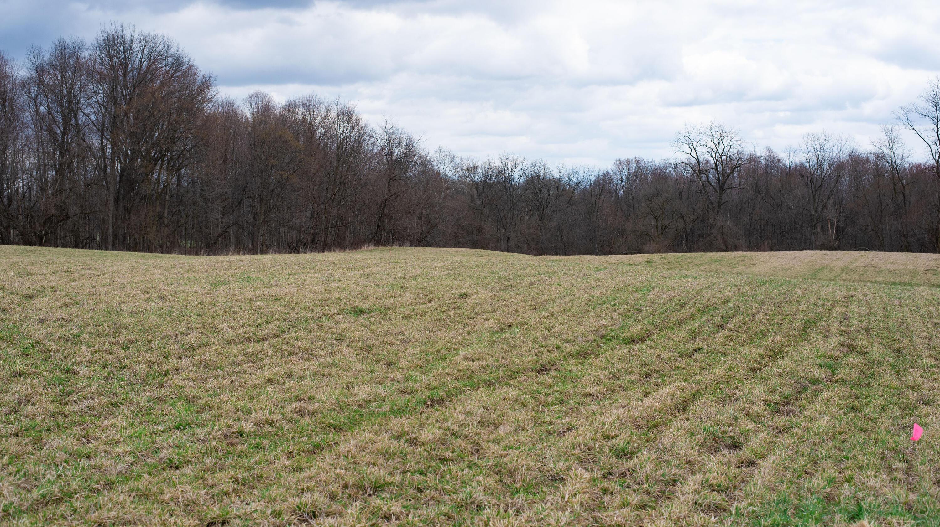 0 Twp Rd 192 (tract A) Property Photo 12
