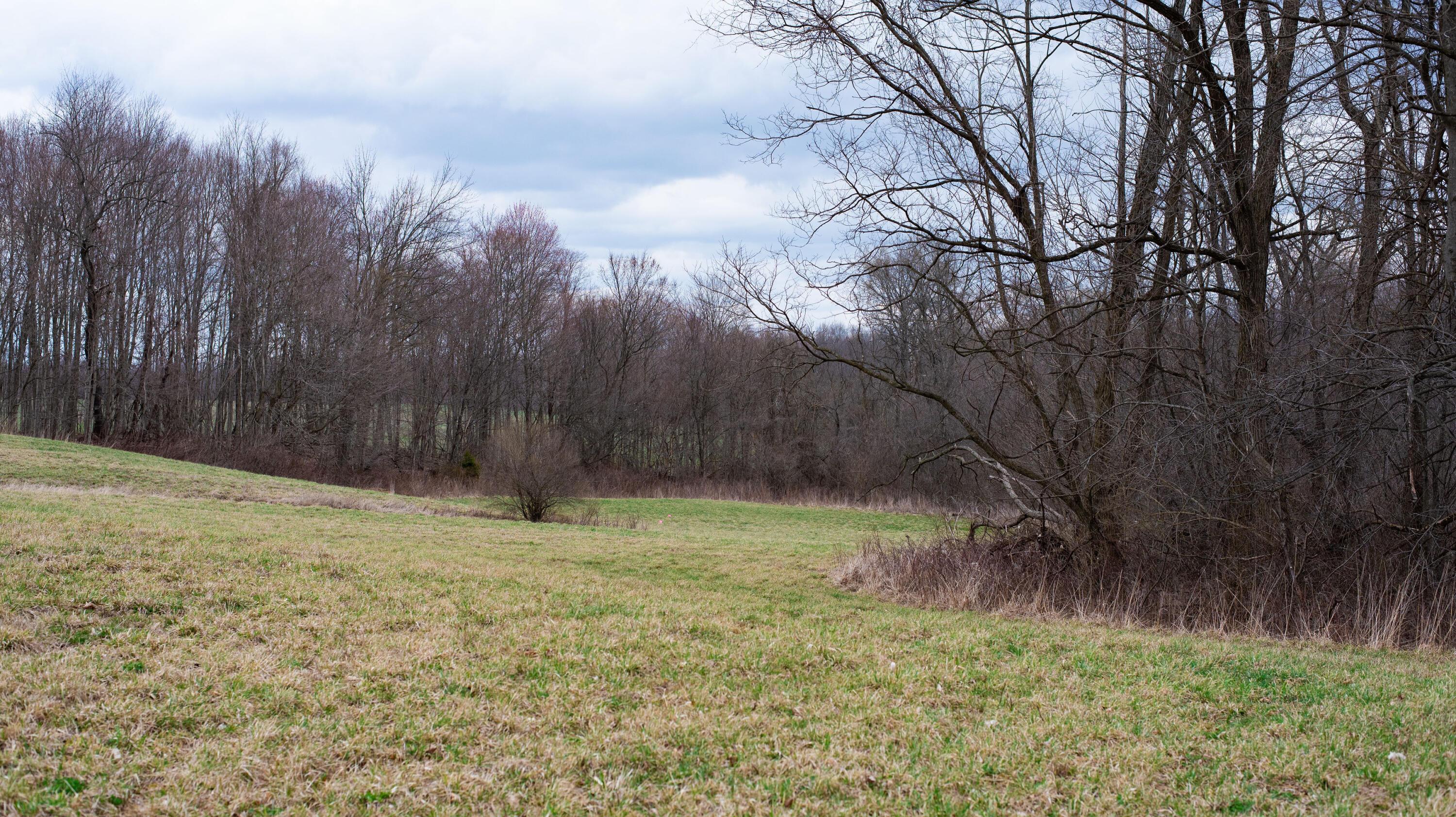 0 Twp Rd 192 (tract A) Property Photo 15