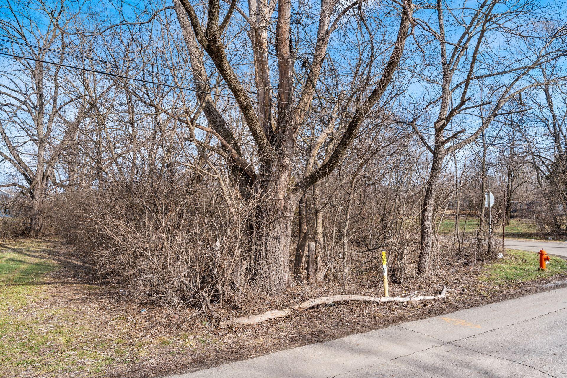 0 Elwood Avenue, Lot 105 Property Photo 5