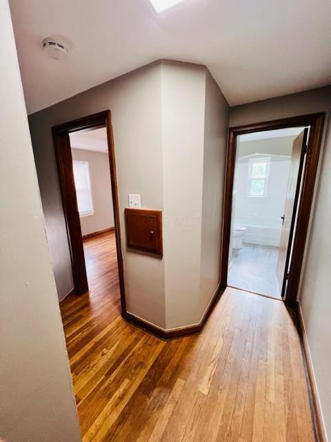 35-37 Haldy Avenue Property Photo 10