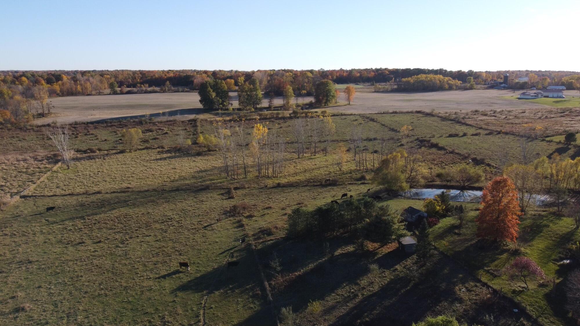 Lot 1 County Road 25 Property Photo 4