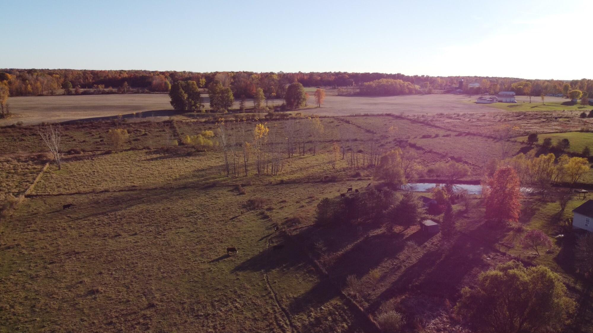 Lot 1 County Road 25 Property Photo 5