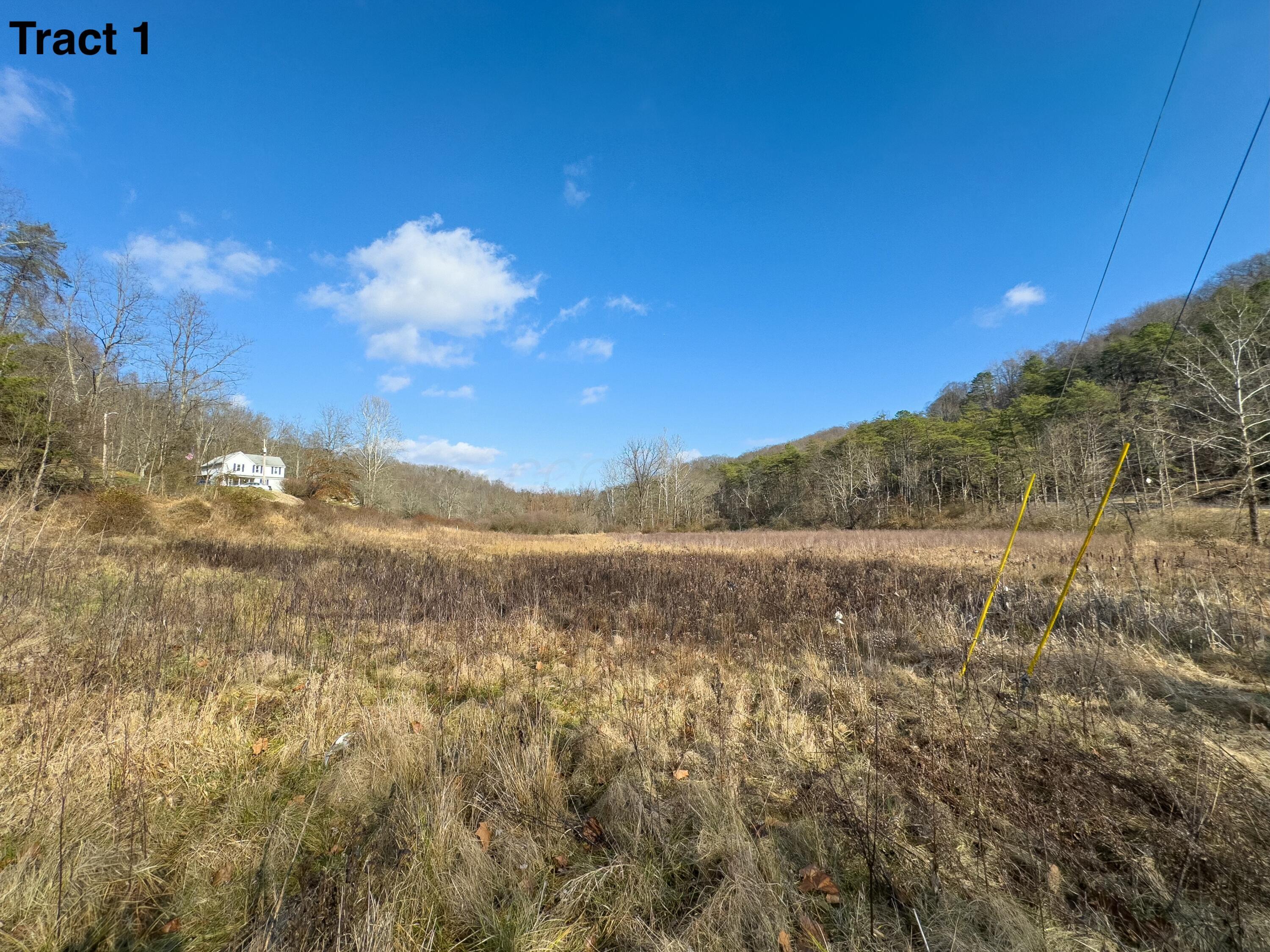 24453 Woltz Road Property Photo 10
