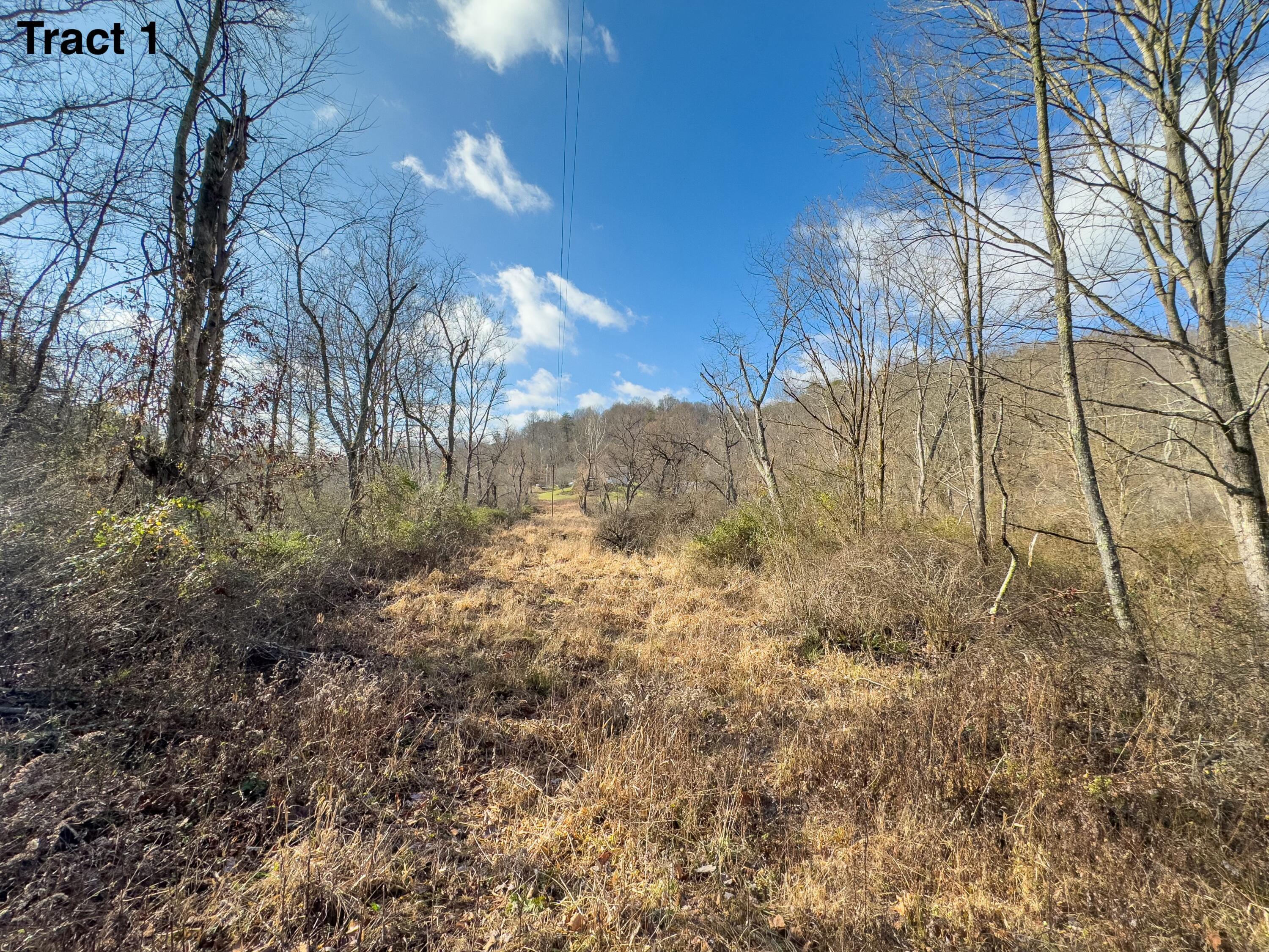 24453 Woltz Road Property Photo 13