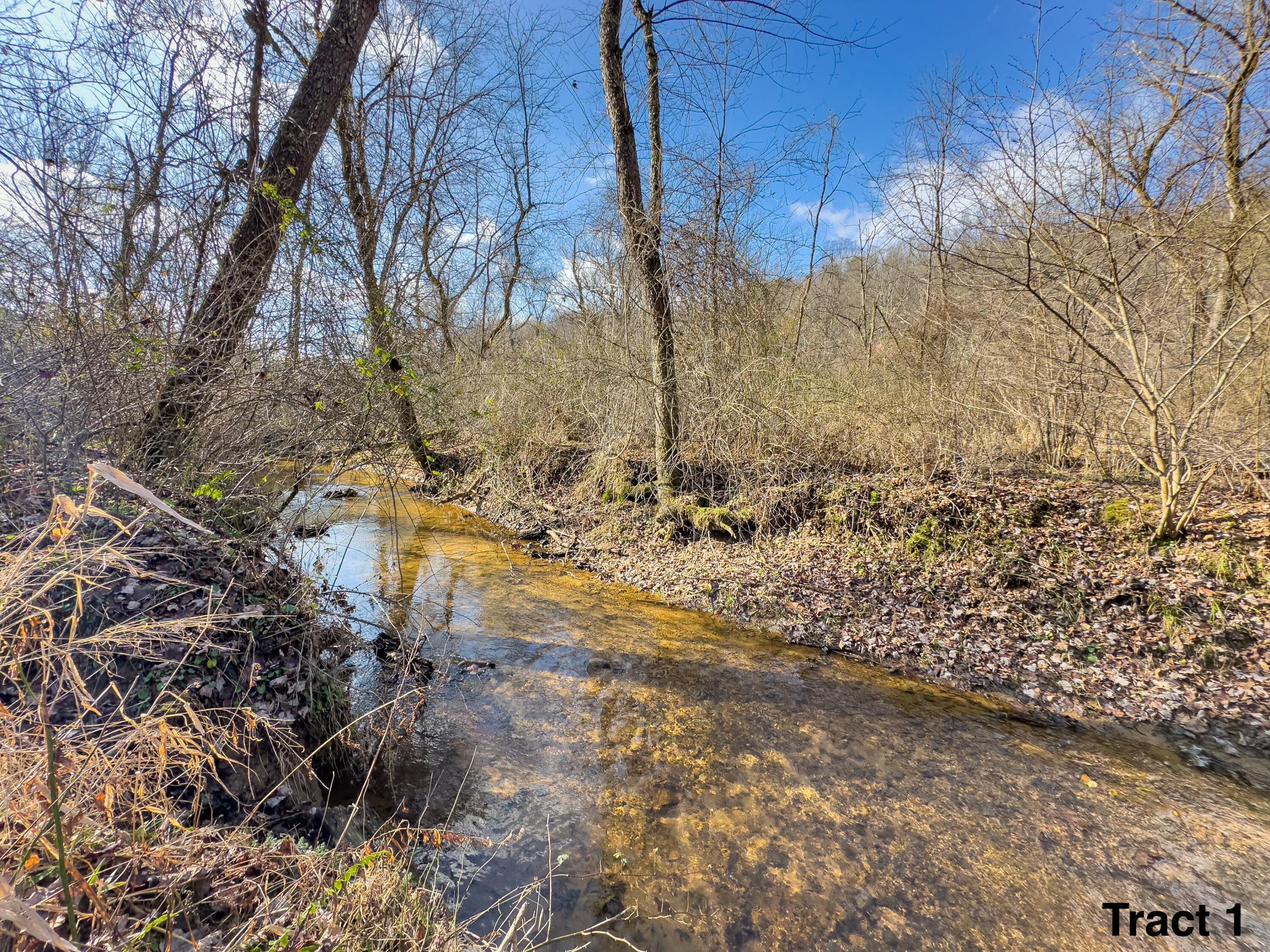 24453 Woltz Road Property Photo 14