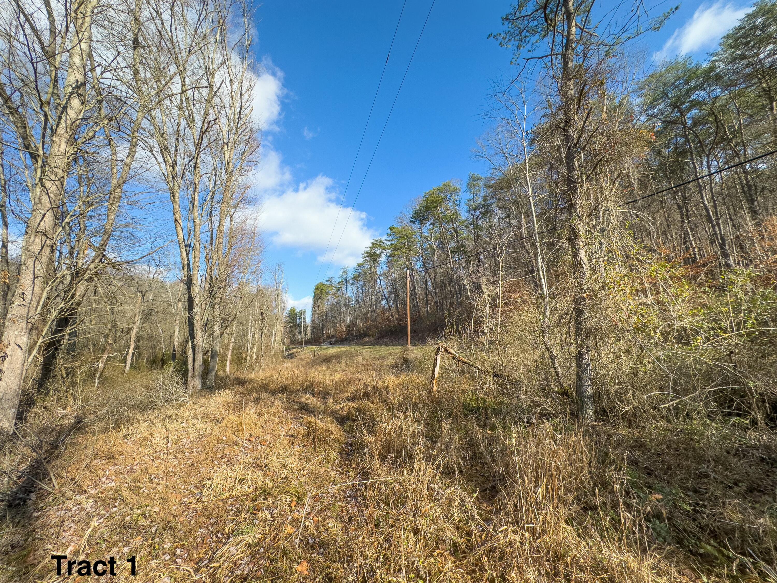 24453 Woltz Road Property Photo 15