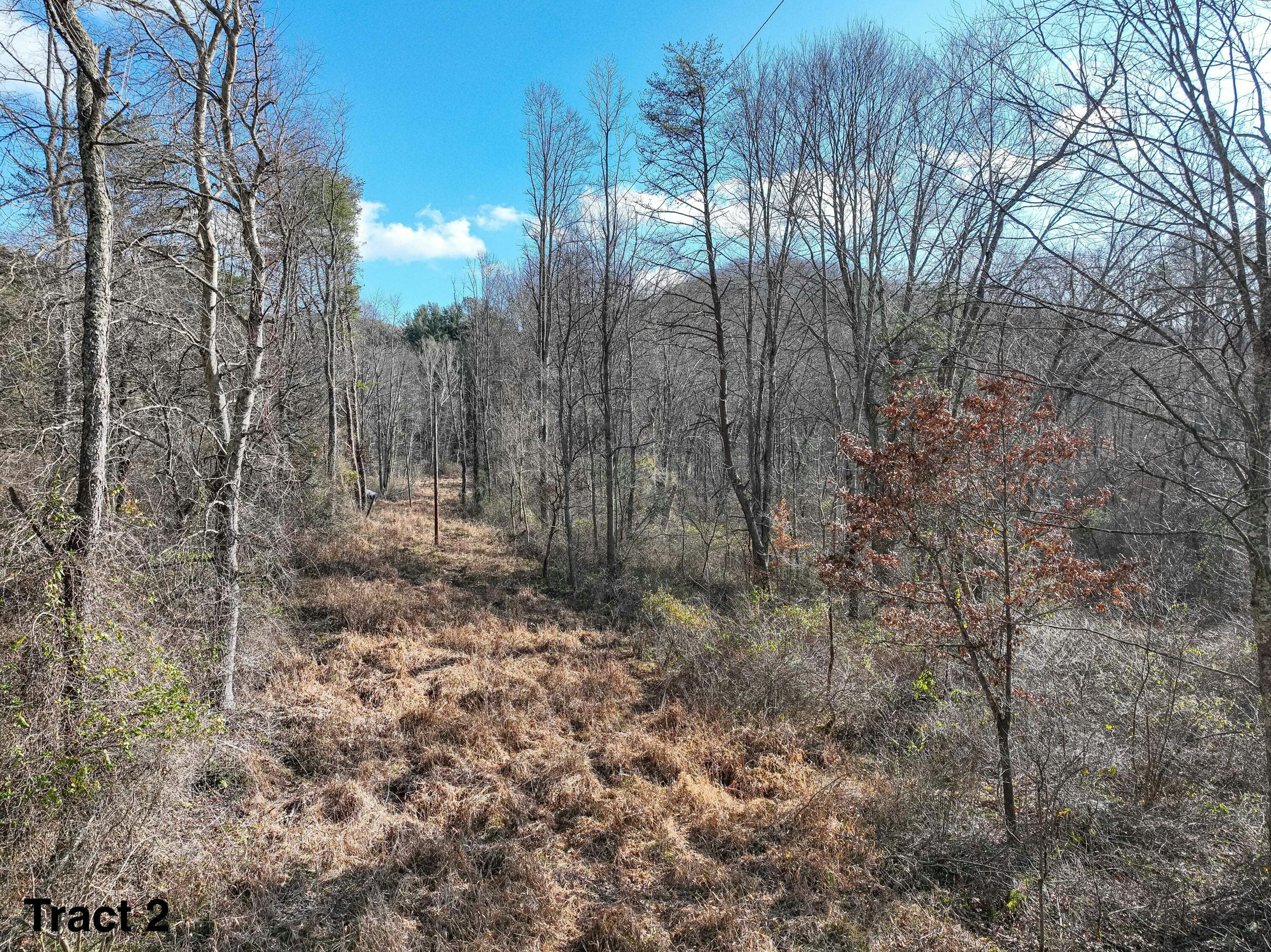 24453 Woltz Road Property Photo 17
