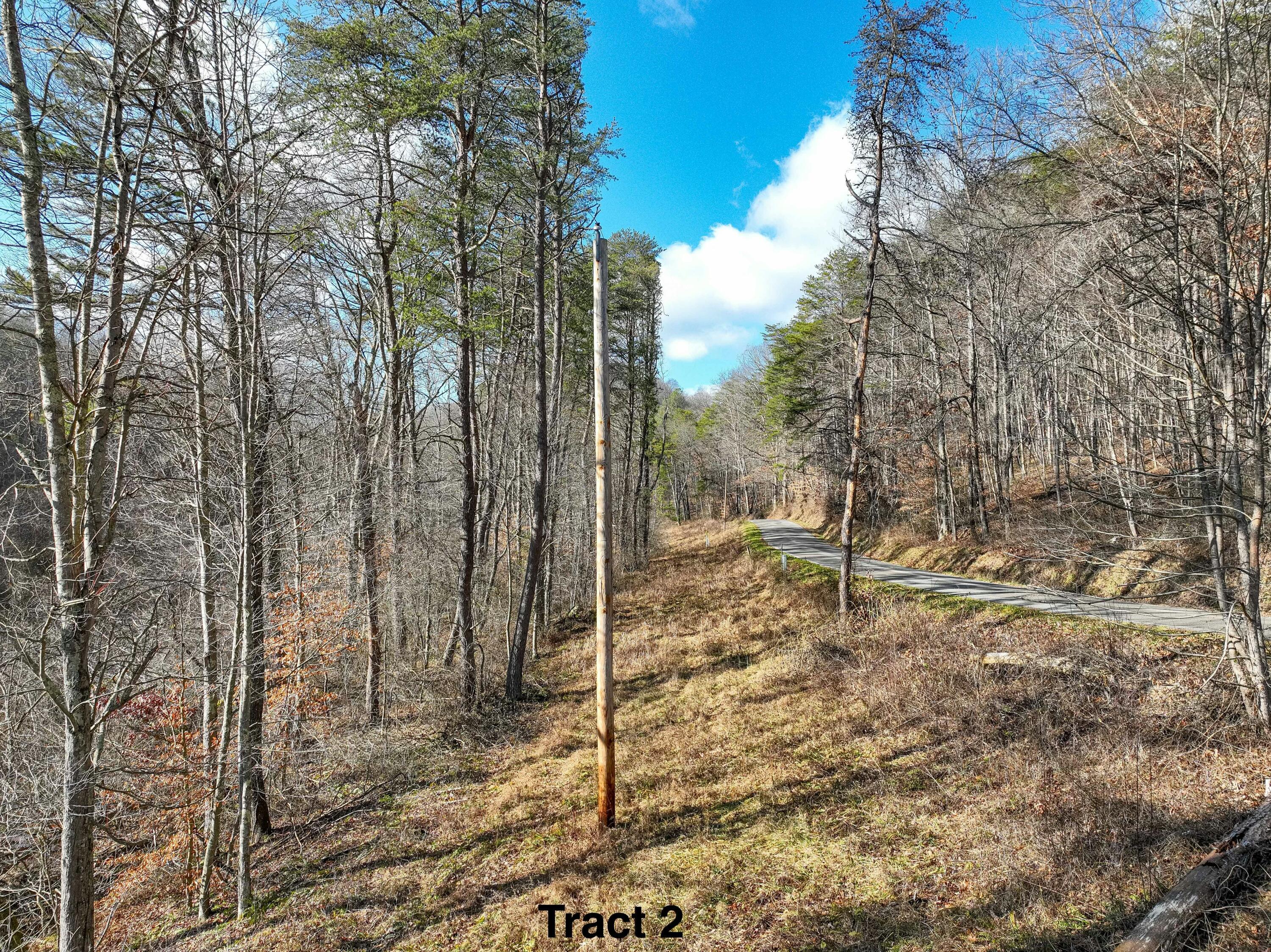 24453 Woltz Road Property Photo 18