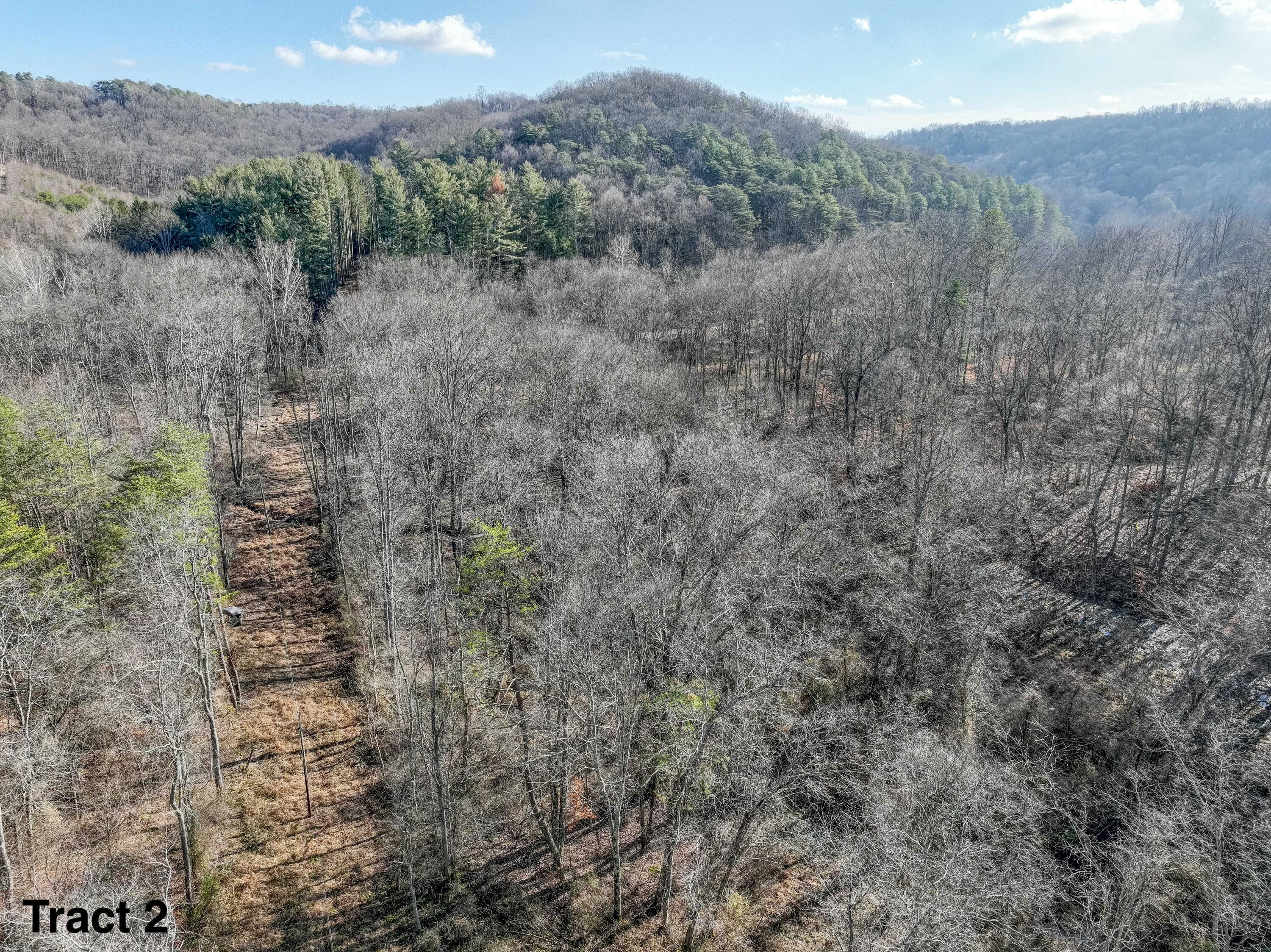 24453 Woltz Road Property Photo 19
