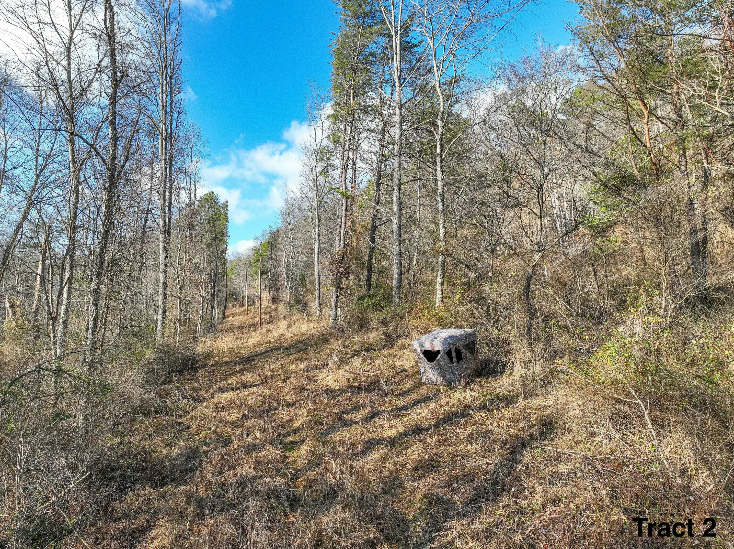 24453 Woltz Road Property Photo 20