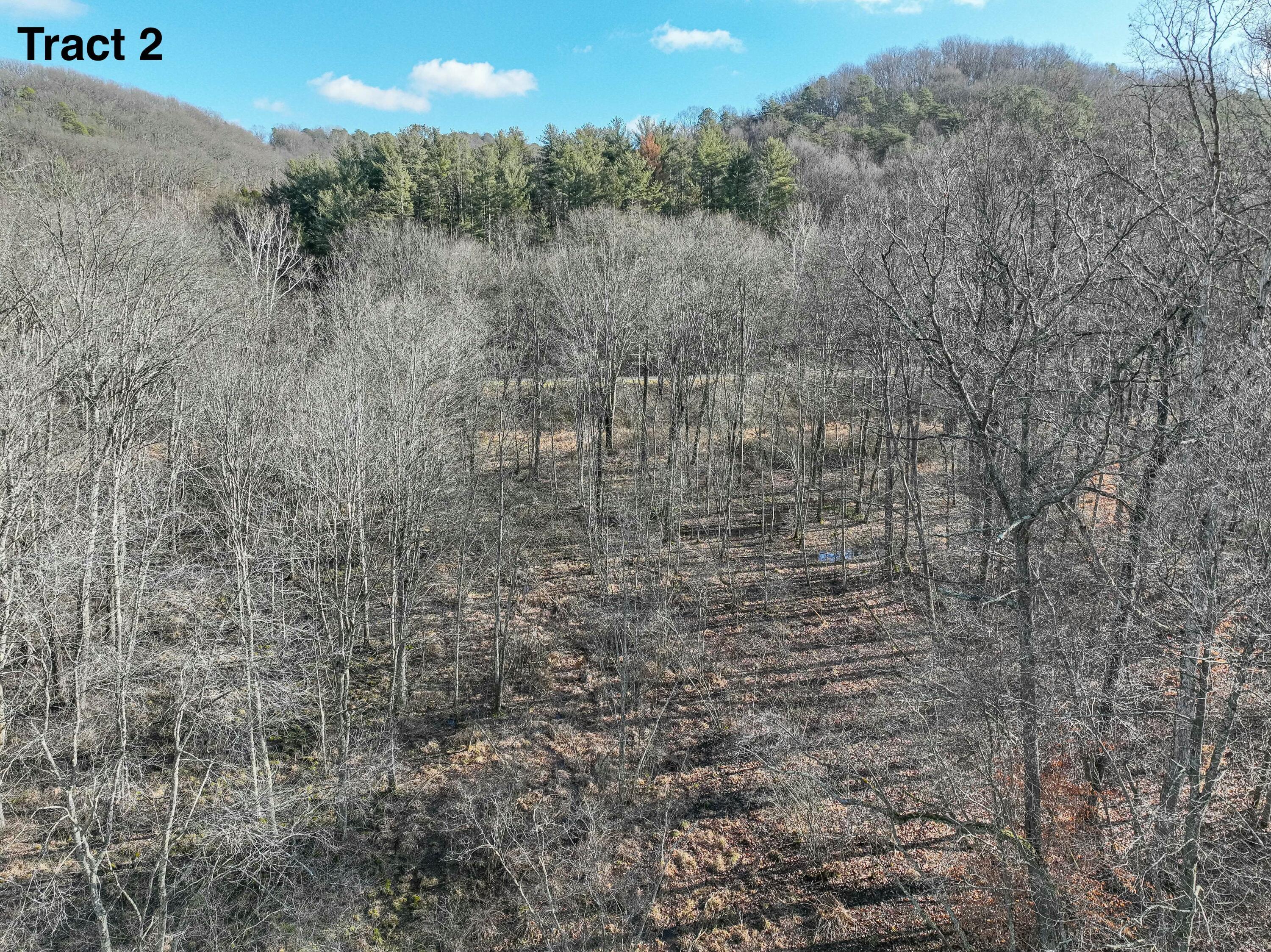 24453 Woltz Road Property Photo 22