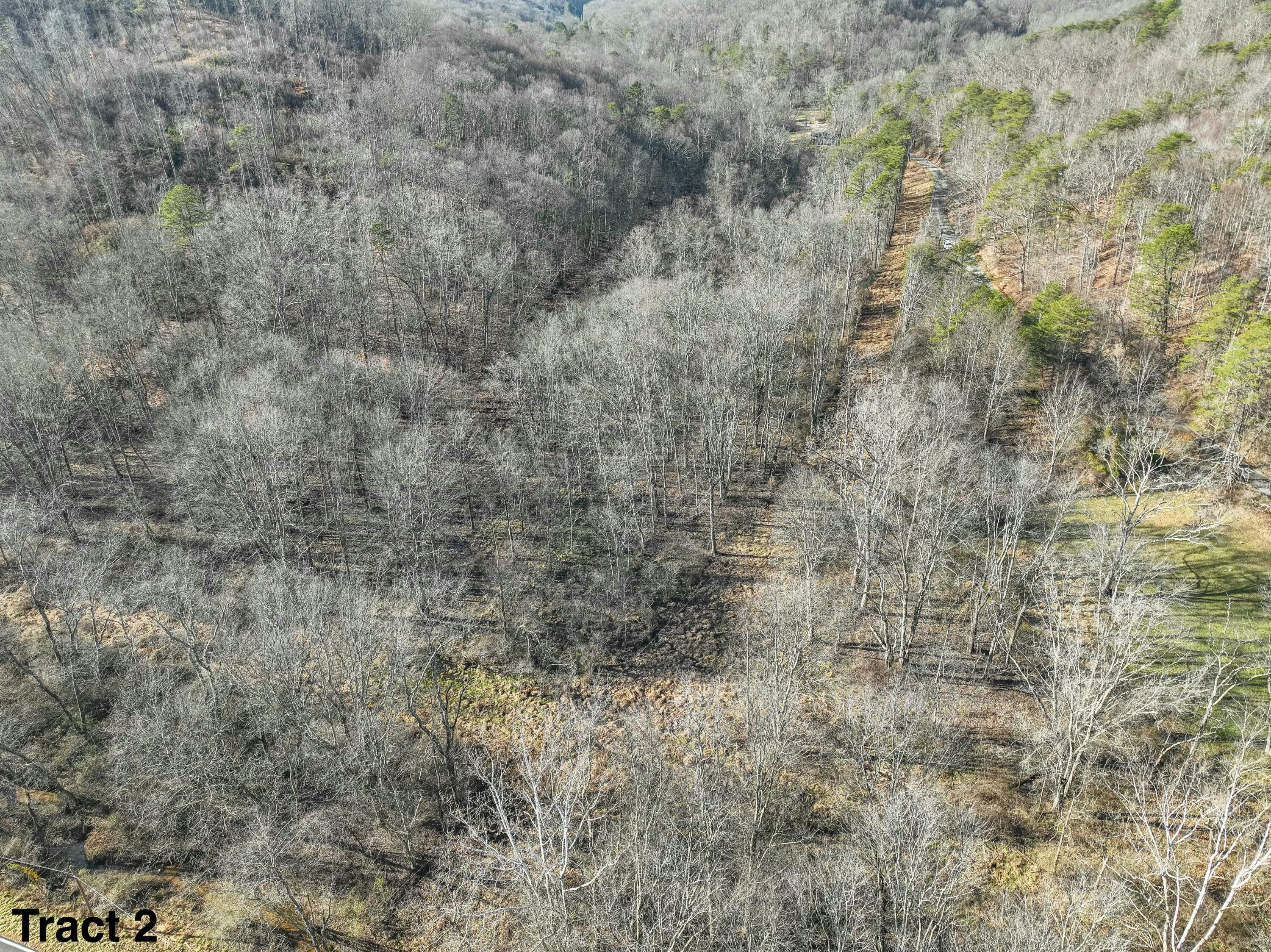 24453 Woltz Road Property Photo 23