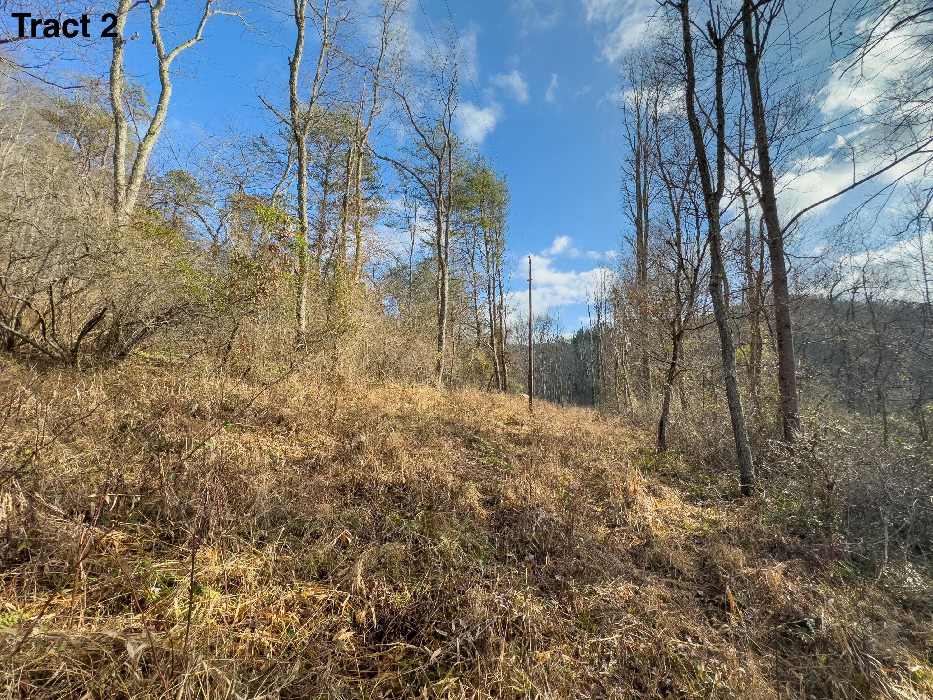 24453 Woltz Road Property Photo 24