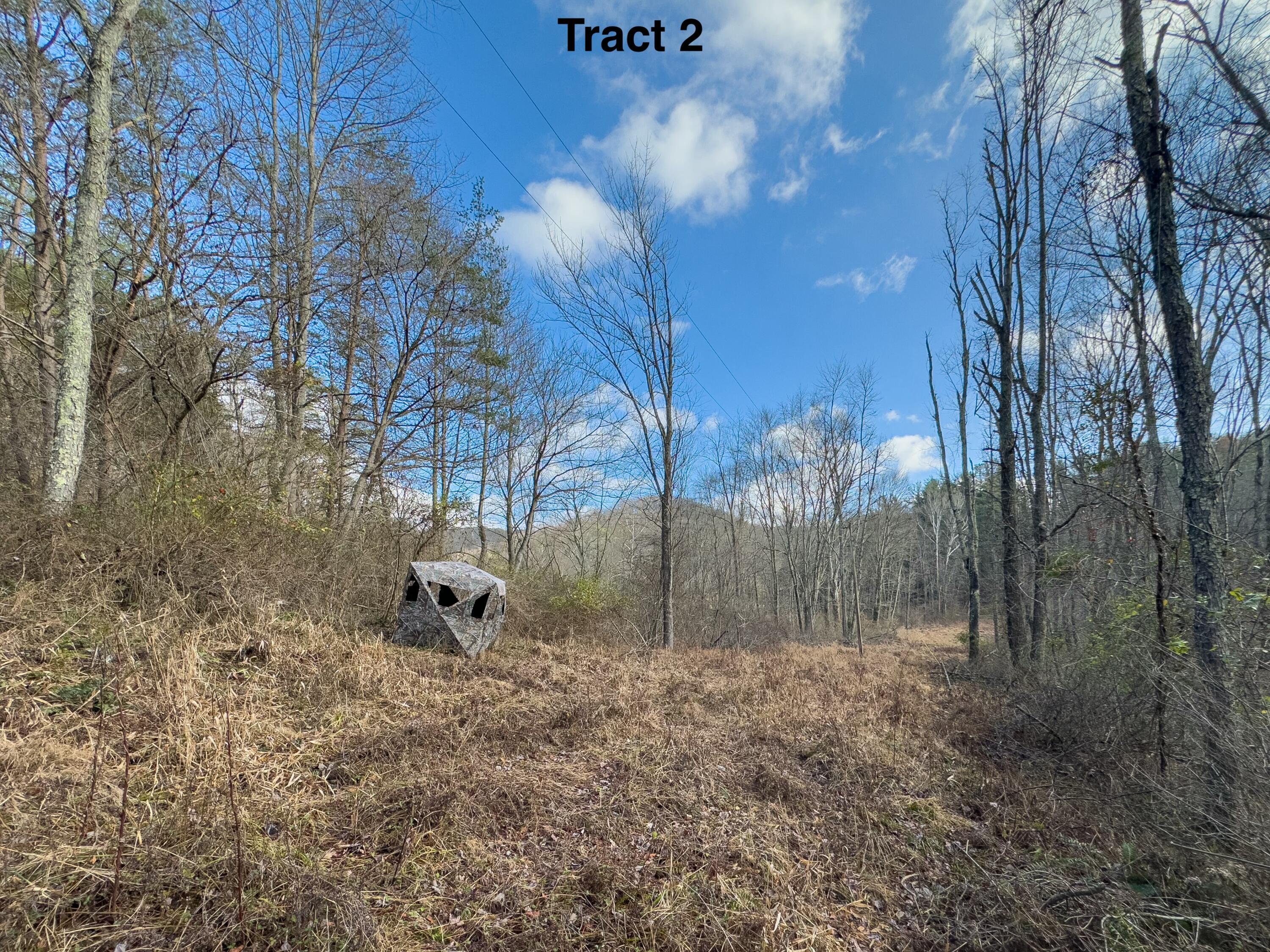 24453 Woltz Road Property Photo 25