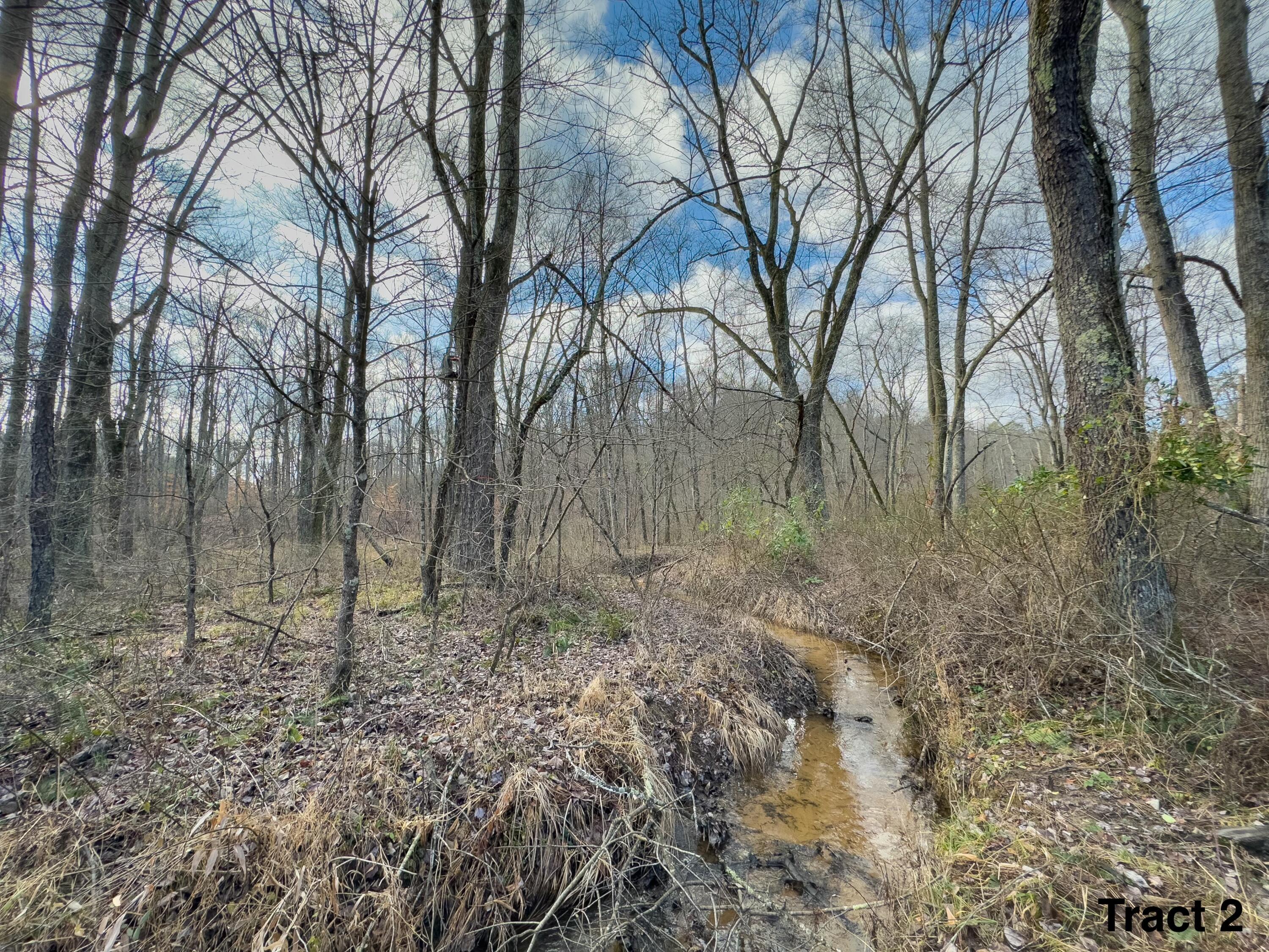 24453 Woltz Road Property Photo 26