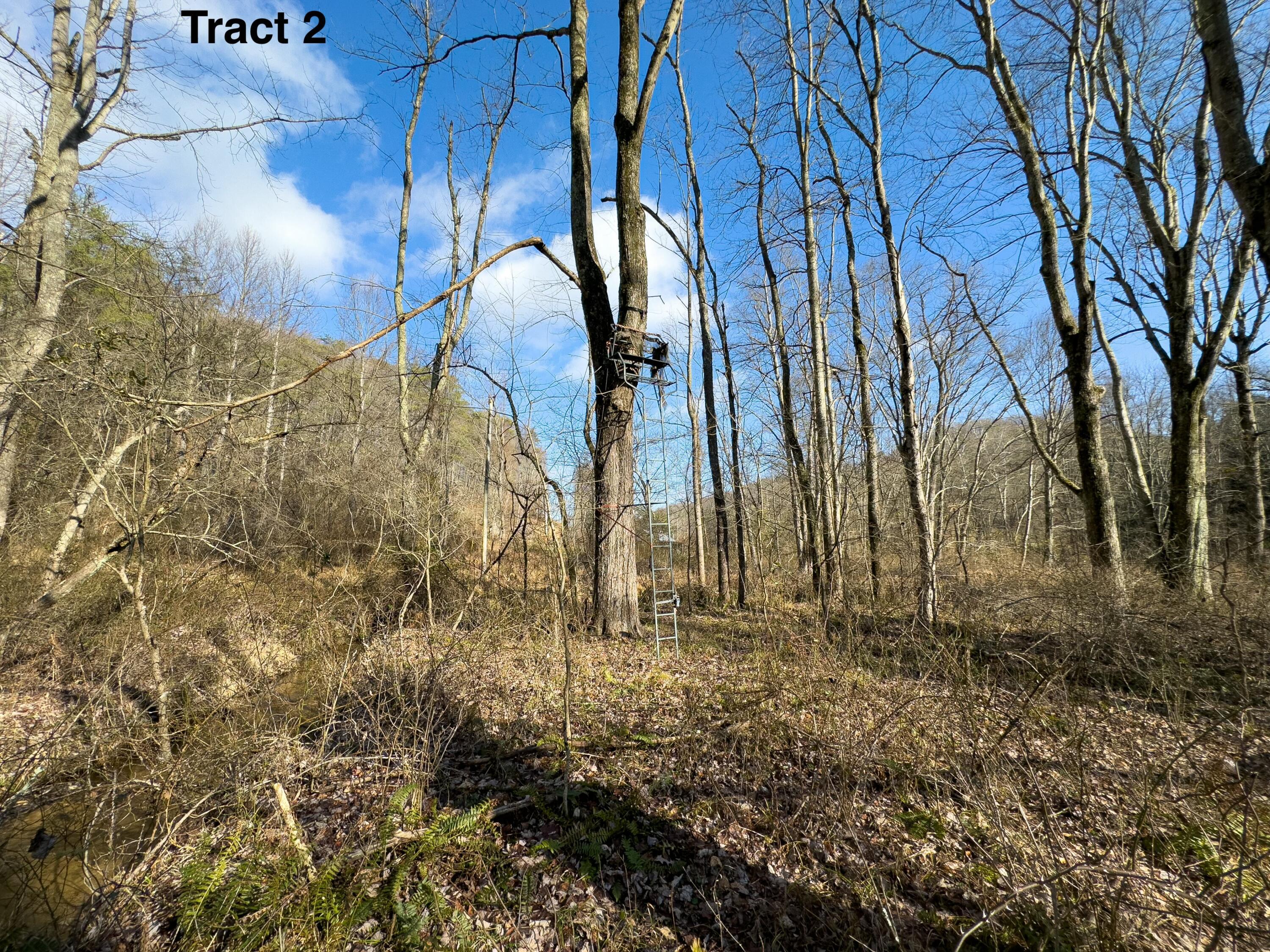 24453 Woltz Road Property Photo 27