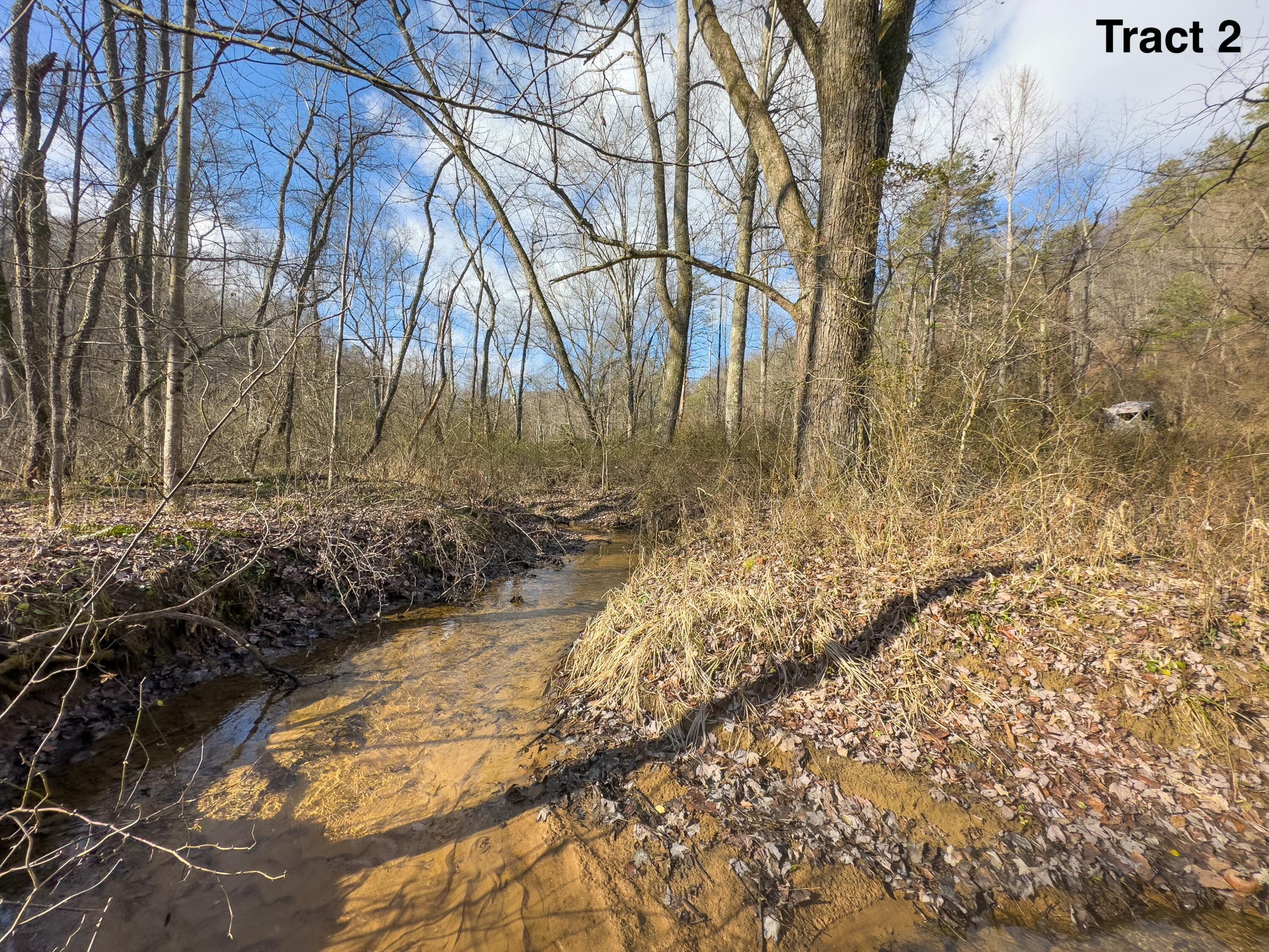 24453 Woltz Road Property Photo 28