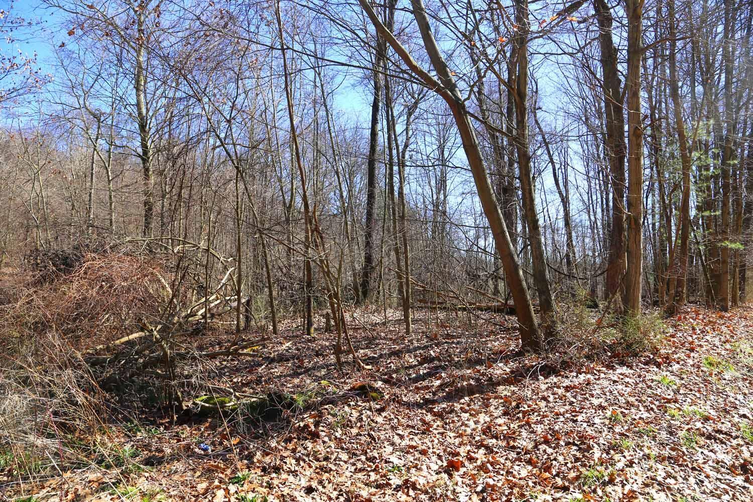0 Trumpower Road Property Photo 2