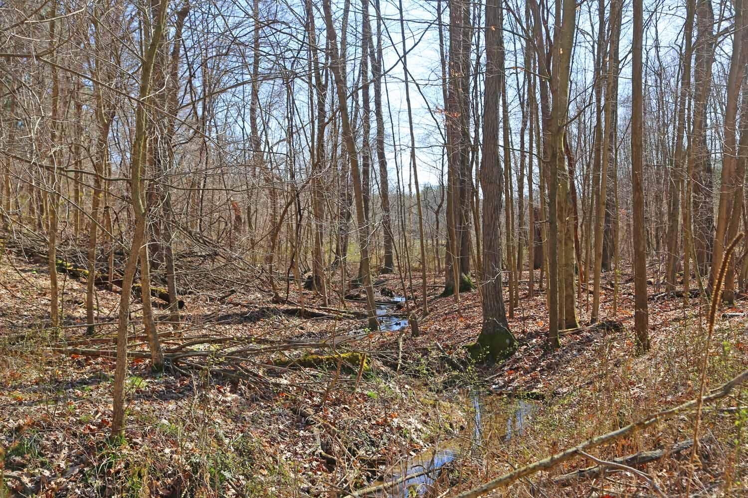 0 Trumpower Road Property Photo 4