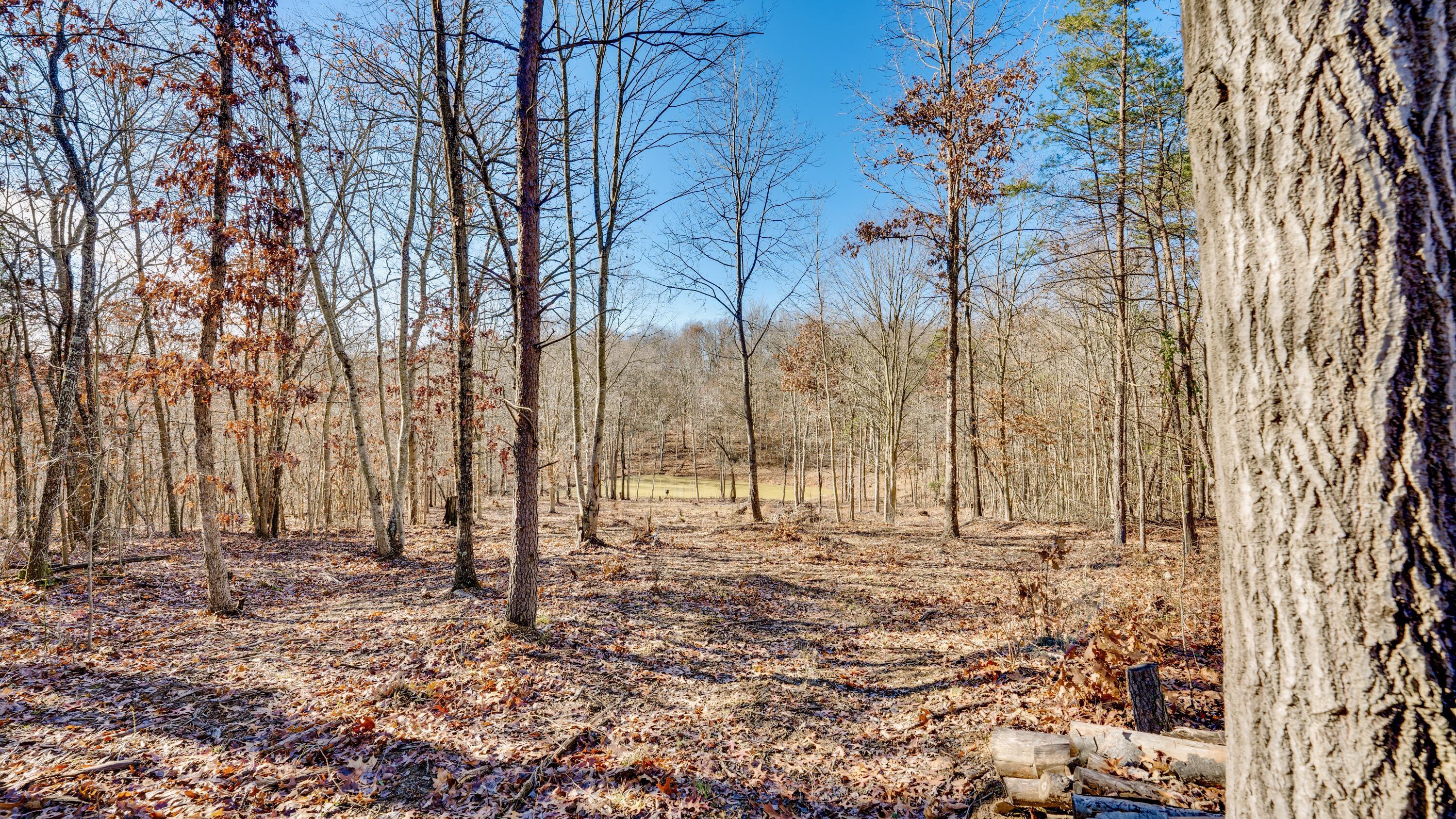 195 Harrison Road, Tract 4 Property Photo 18