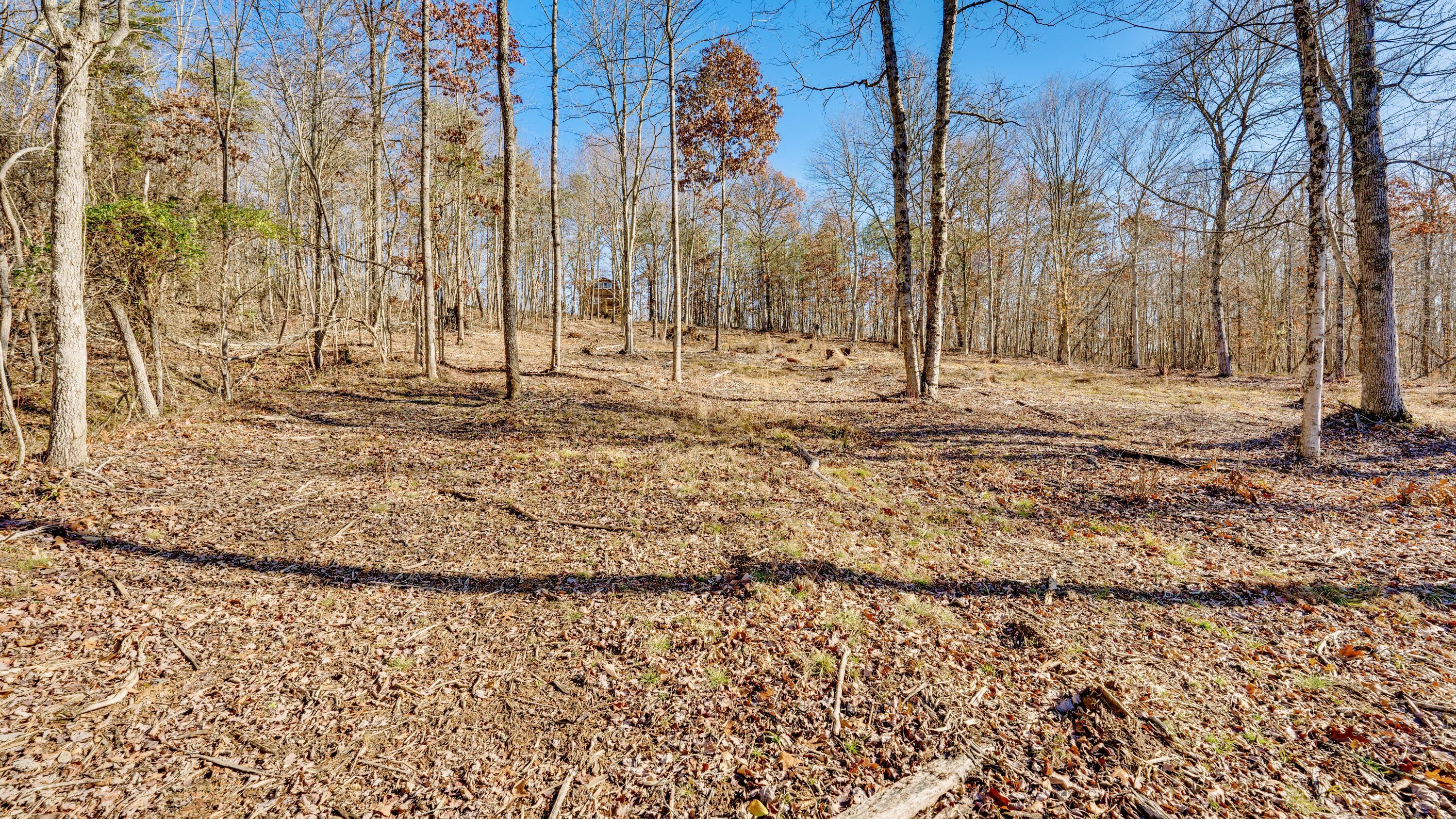 195 Harrison Road, Tract 4 Property Photo 22
