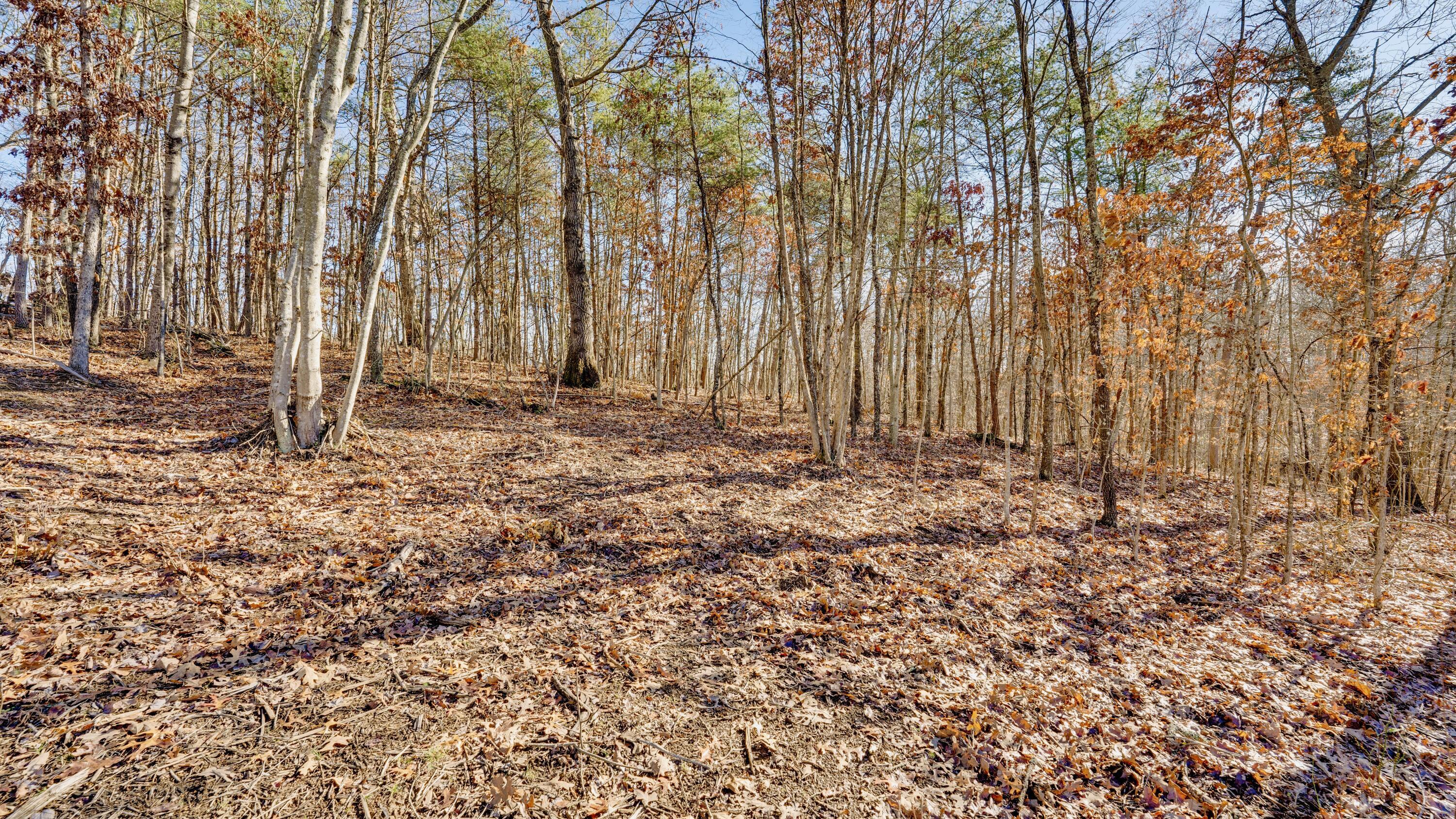 195 Harrison Road, Tract 4 Property Photo 28