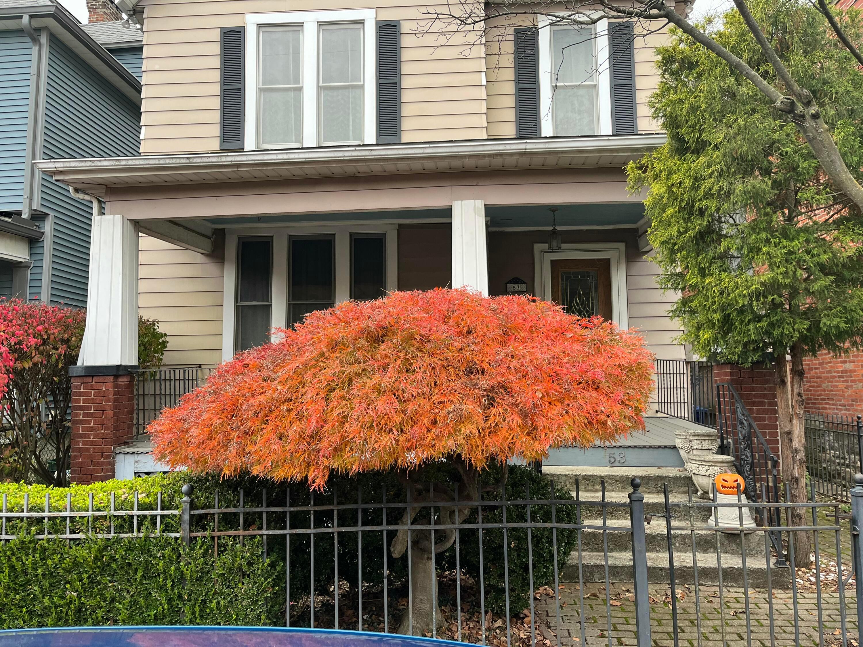 53 Linwood Avenue Property Photo 35