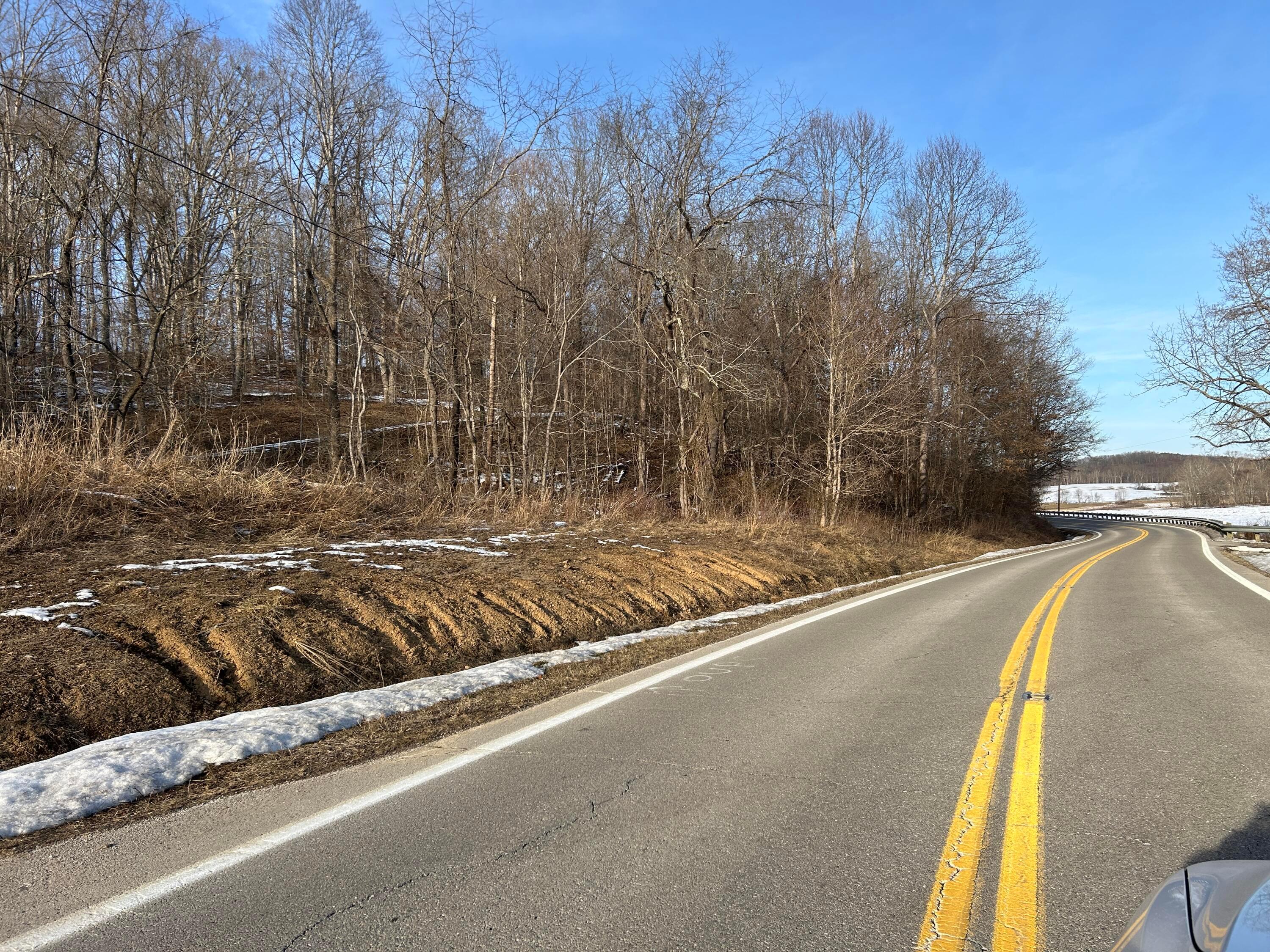 0 Bucklick Creek Road Property Photo