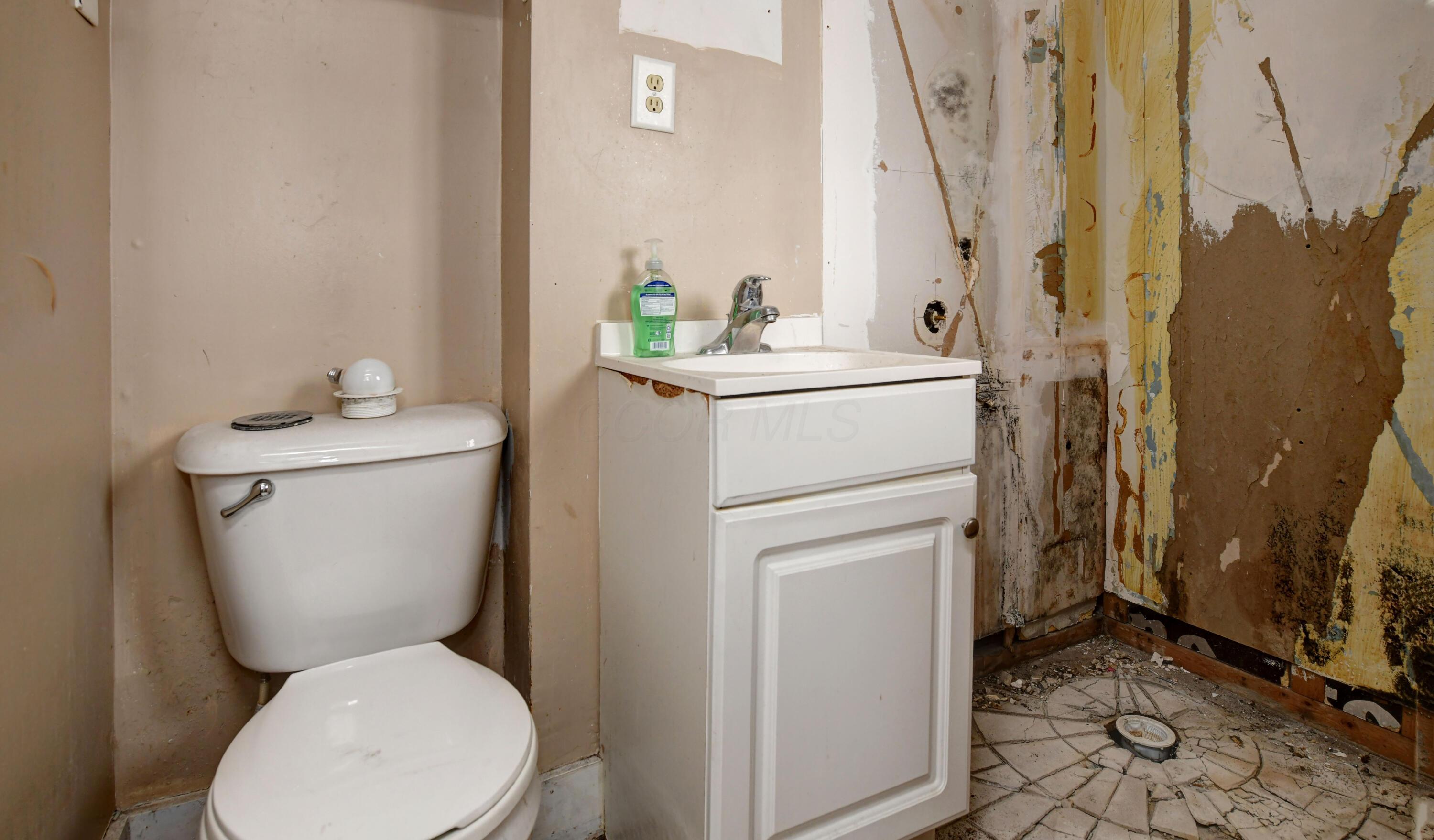 37 - 39 Latta Avenue Property Photo 12