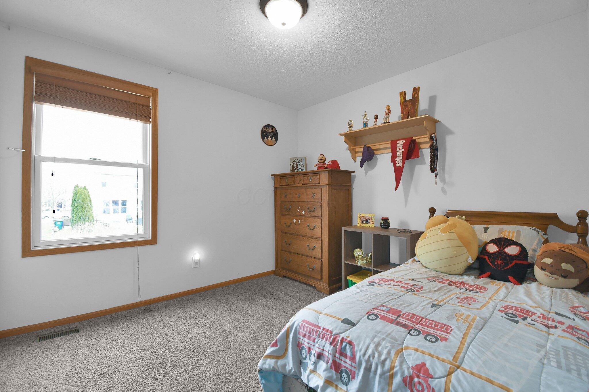 115 Sapphire Ice Drive Property Photo 23