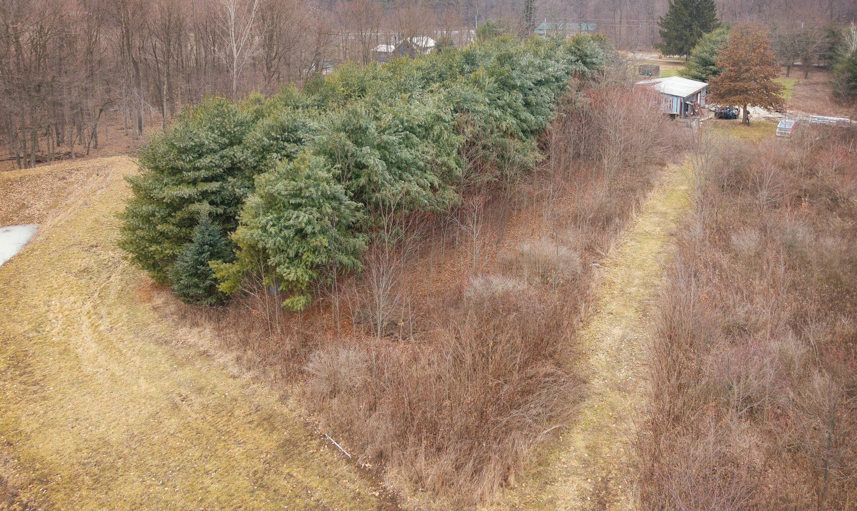 9508 Gregg Road Property Photo 19