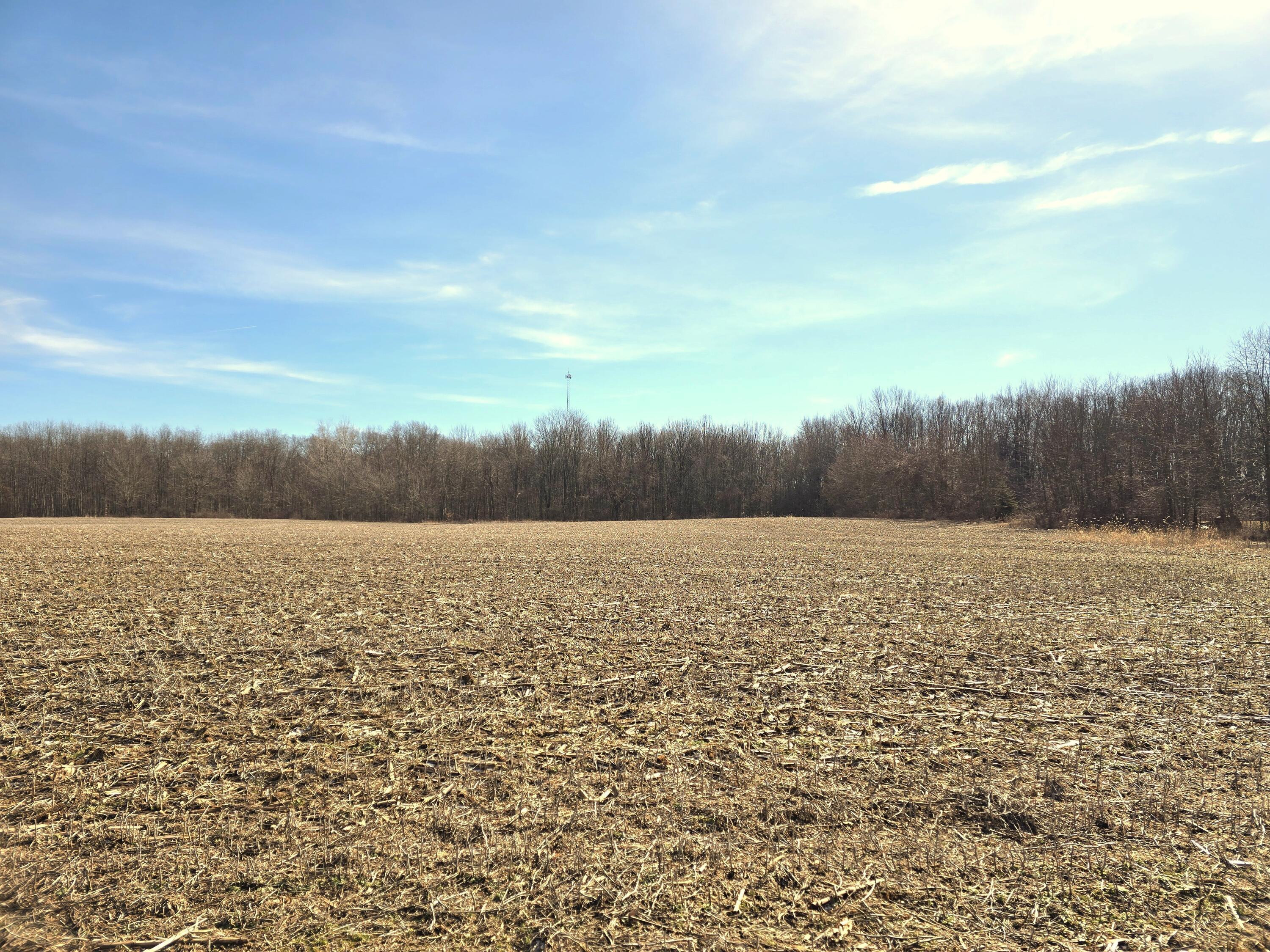 0001 County Road 19 Property Photo 5
