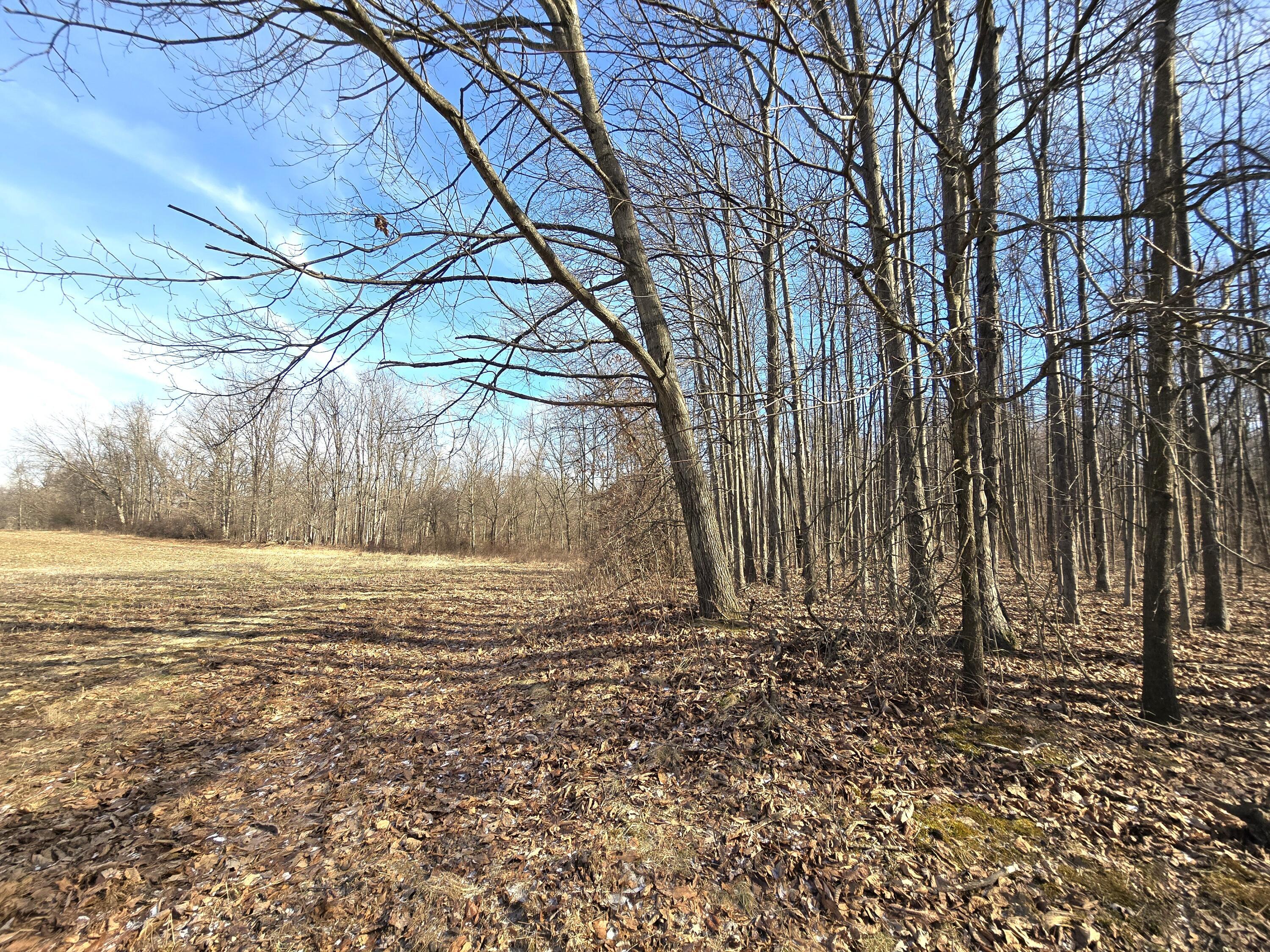 0004 County Road 19 Property Photo 3