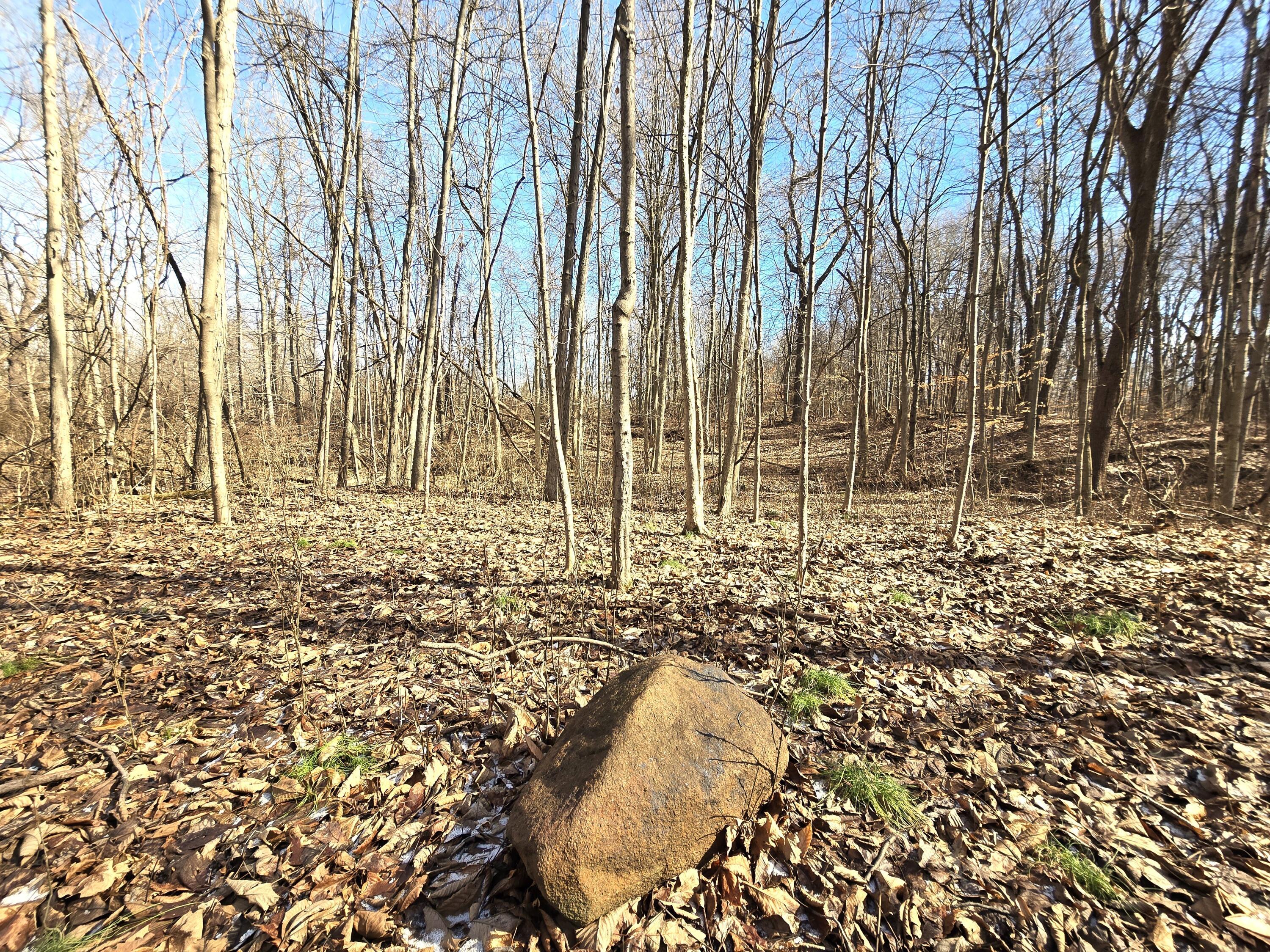 0004 County Road 19 Property Photo 15
