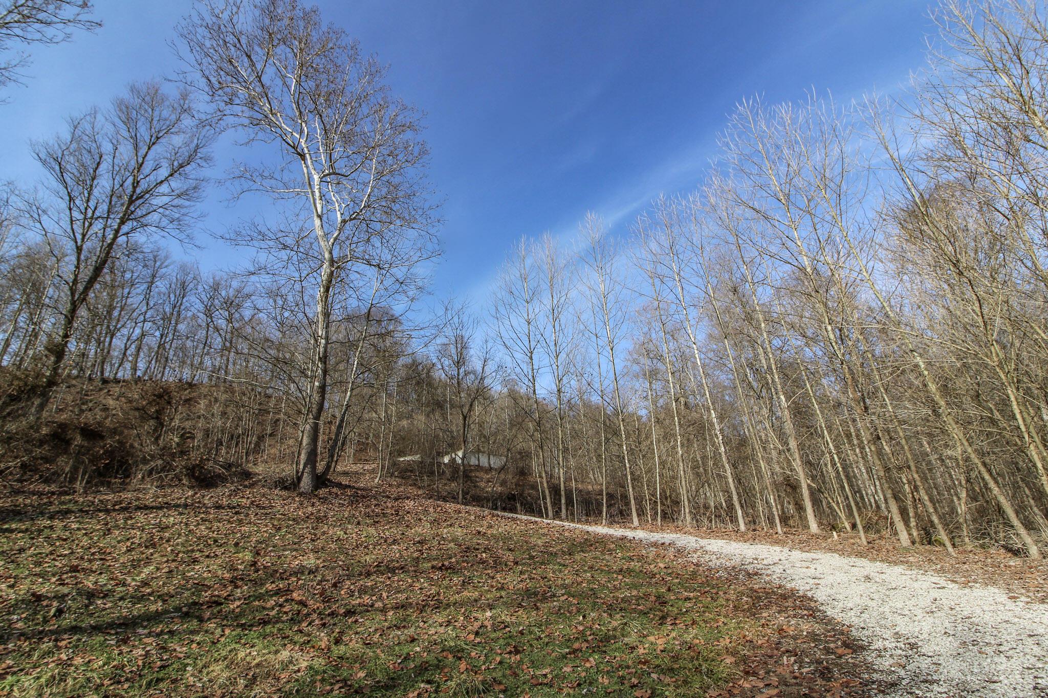 0 Sugar Run Road Property Photo 3